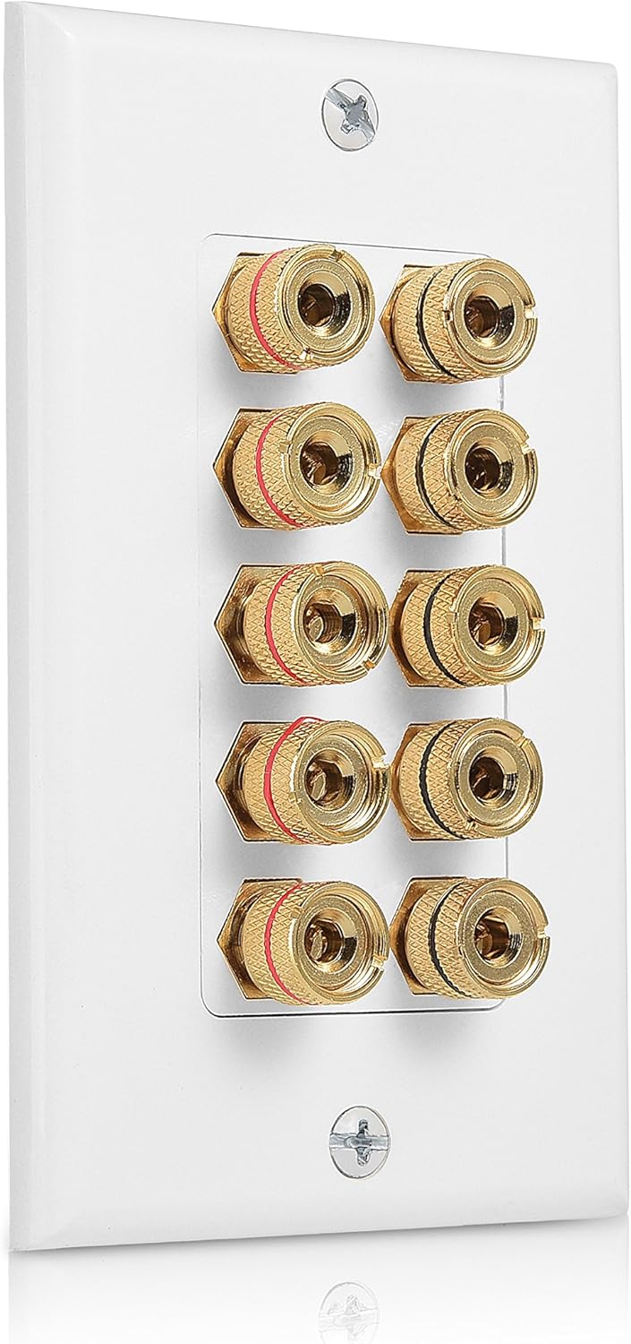 Cable Matters Speaker Wire Wall Plate (Speaker Wall Plate