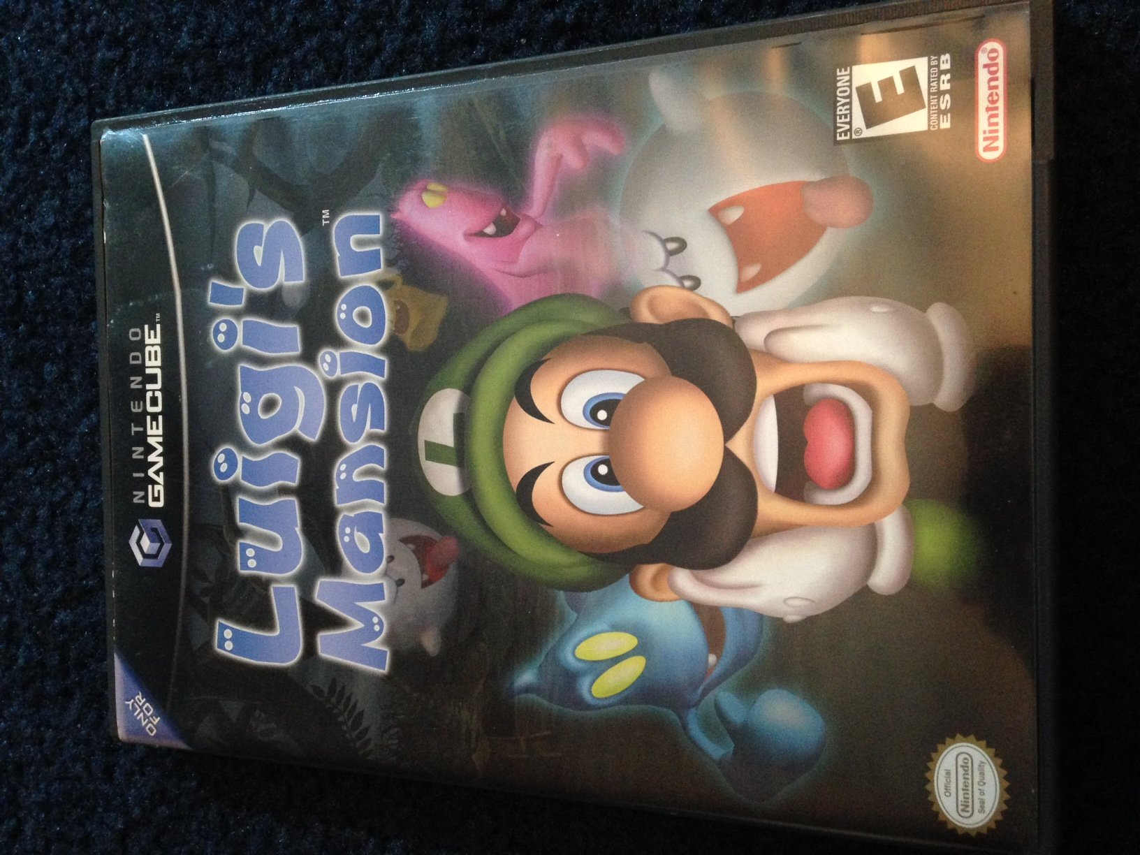 Luigi's Mansion