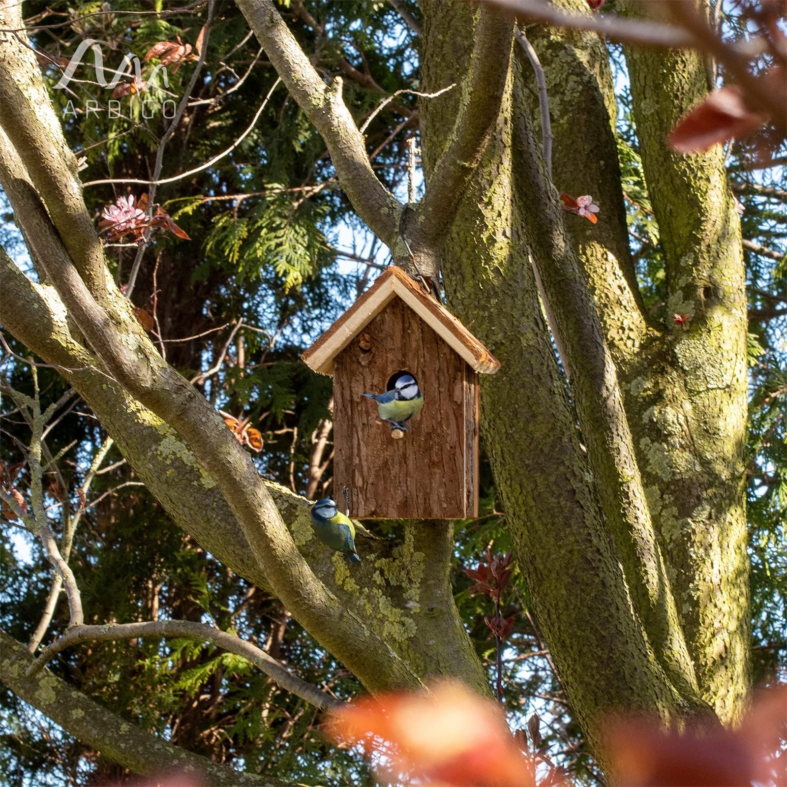 GARDIGO® Nichoir Mésange en Bois Naturel Écorce – Cabane Oiseaux Extérieur à Suspendre – Maison Oiseaux Jardin/Balcon– Abri Nidification Oiseaux Sauvages