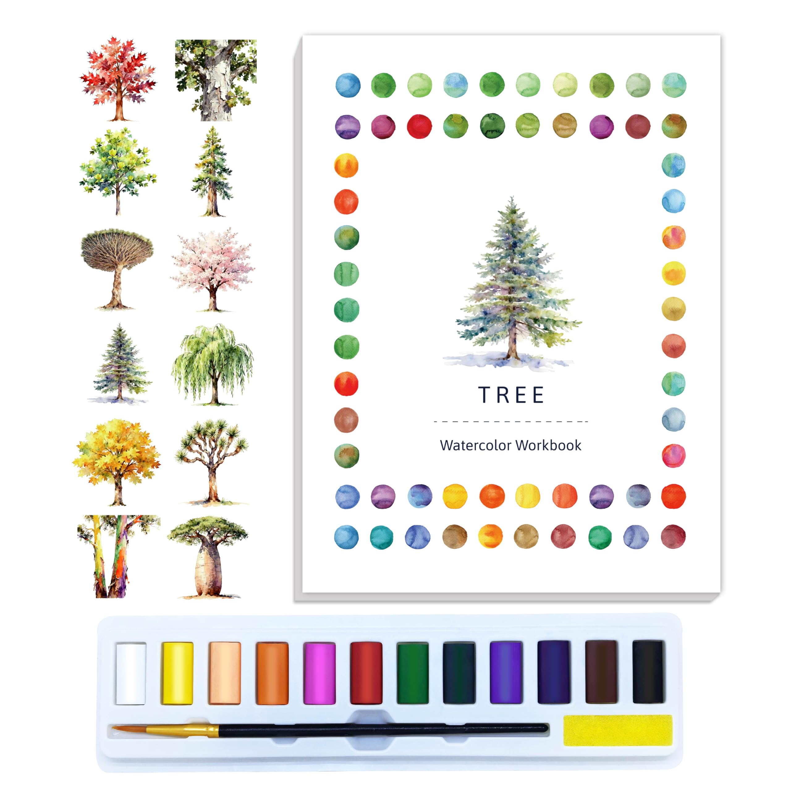 CraftyManor Watercolor Workbook Creative Fruit Water Color Paint Book Set with Paints & Brush, 12 Patterns of Original DIY Designs, Beginner-Friendly Adult Coloring Books (Tree)