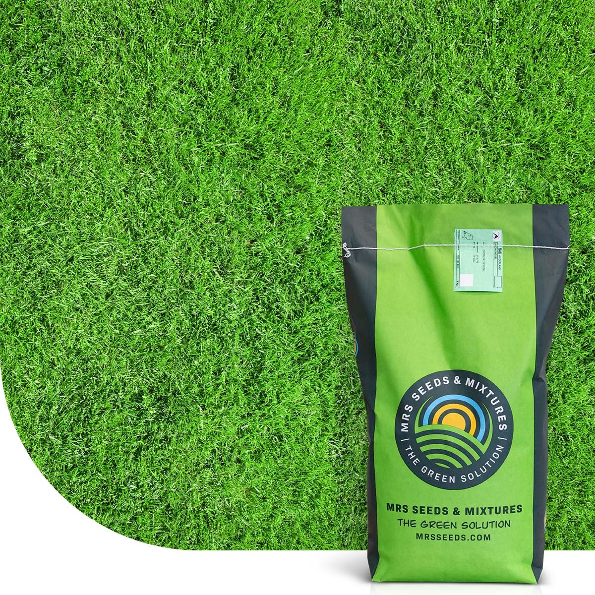 MRS Champion : Semences de gazon sport - 15 kg pour 750 m² - Gazon résistant pour sport et usage intensif - Croissance rapide et faible entretien - Adapté à tous types de sols