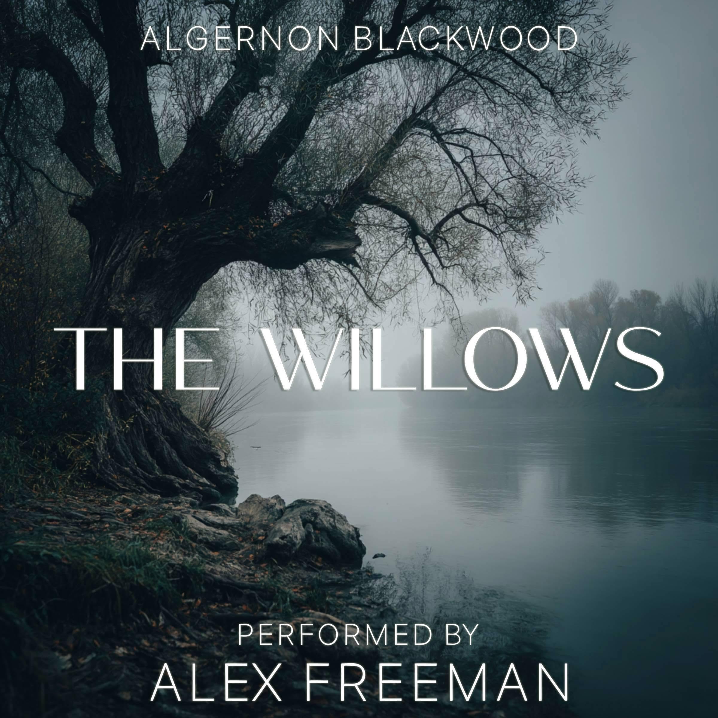 Cover art for The willows