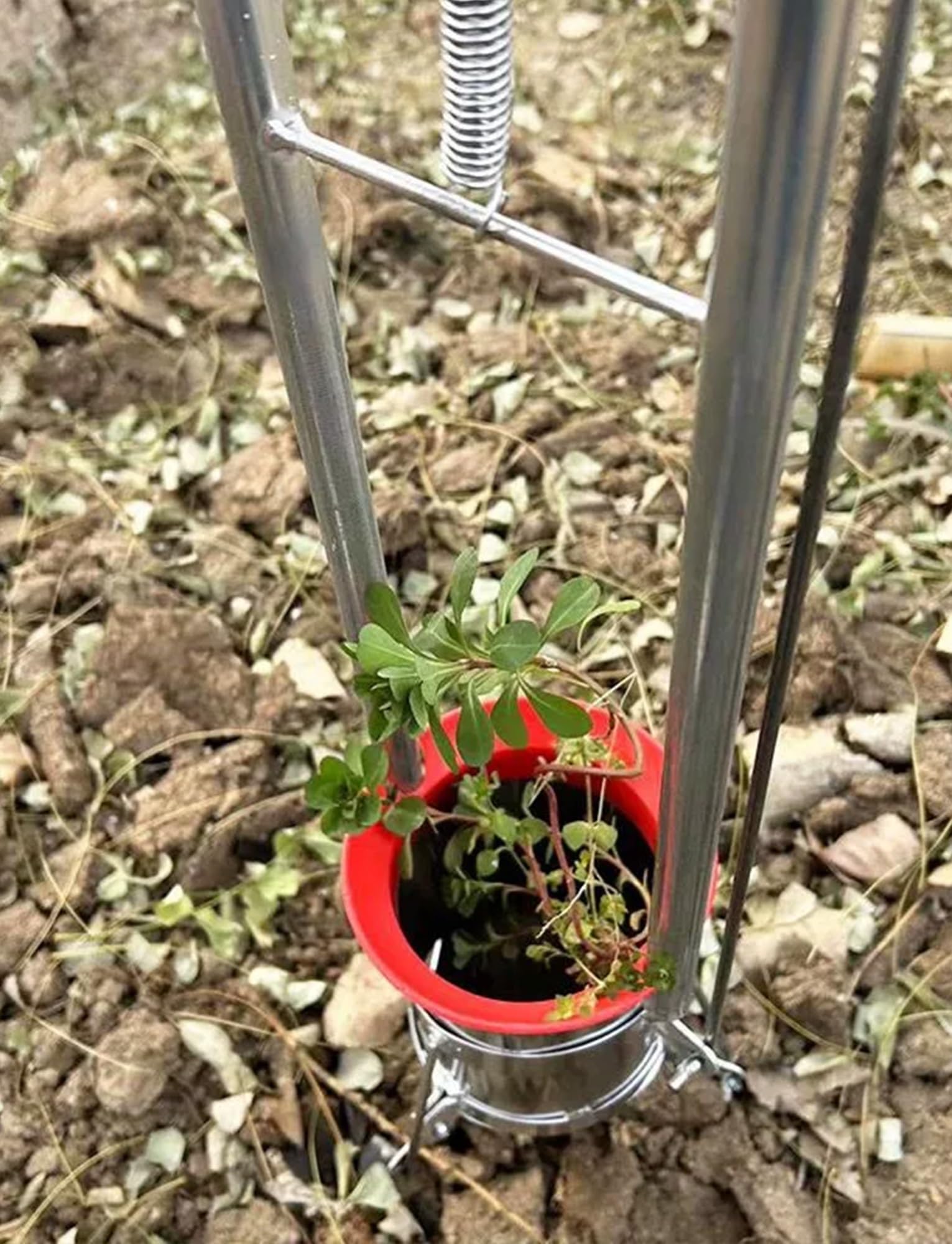 Strumento for piantare bulbi a manico lungo, trapiantatrice for piantine a 3 aperture, creatore manuale di fori da giardino in acciaio inossidabile for letti di verdure(3 in/7.6 cm,7.9 in/20 cm)