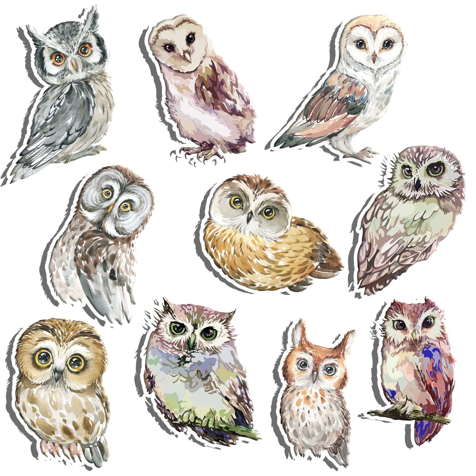 Imágenes De Búhos Para Baby Shower