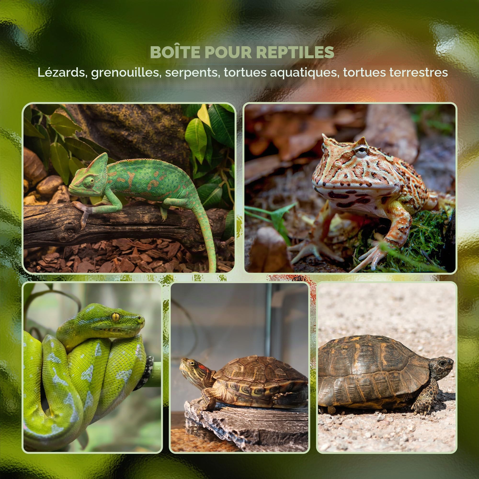 PawHut Terrarium en Verre pour Reptiles, Ventilation, 30x30x45 cm