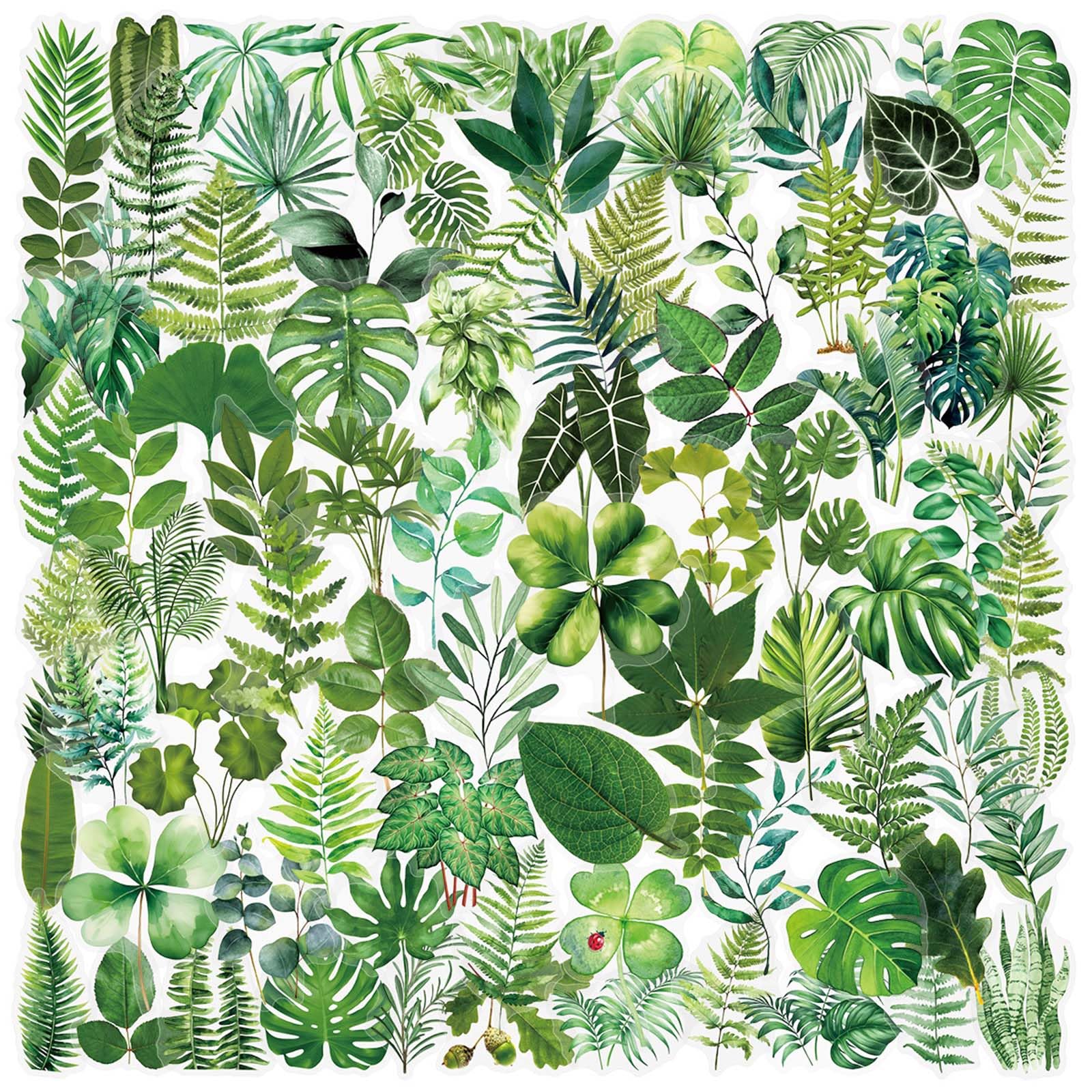 Transparent Flora Leaf Scrapbook Stickers Plant Leaf Stickers(G100)