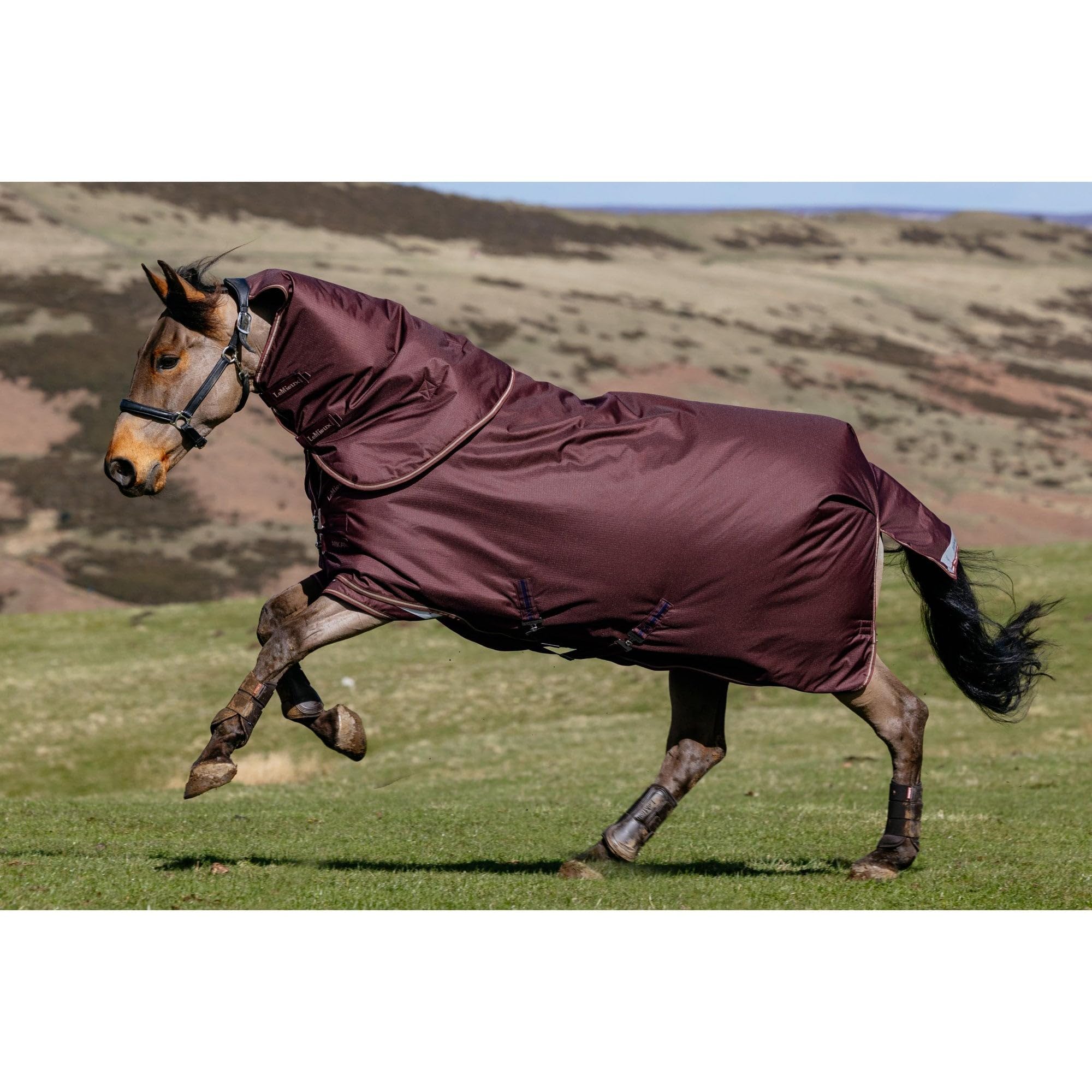 LeMieux Arika Ripstop 0g Turnout Rug - Bramble