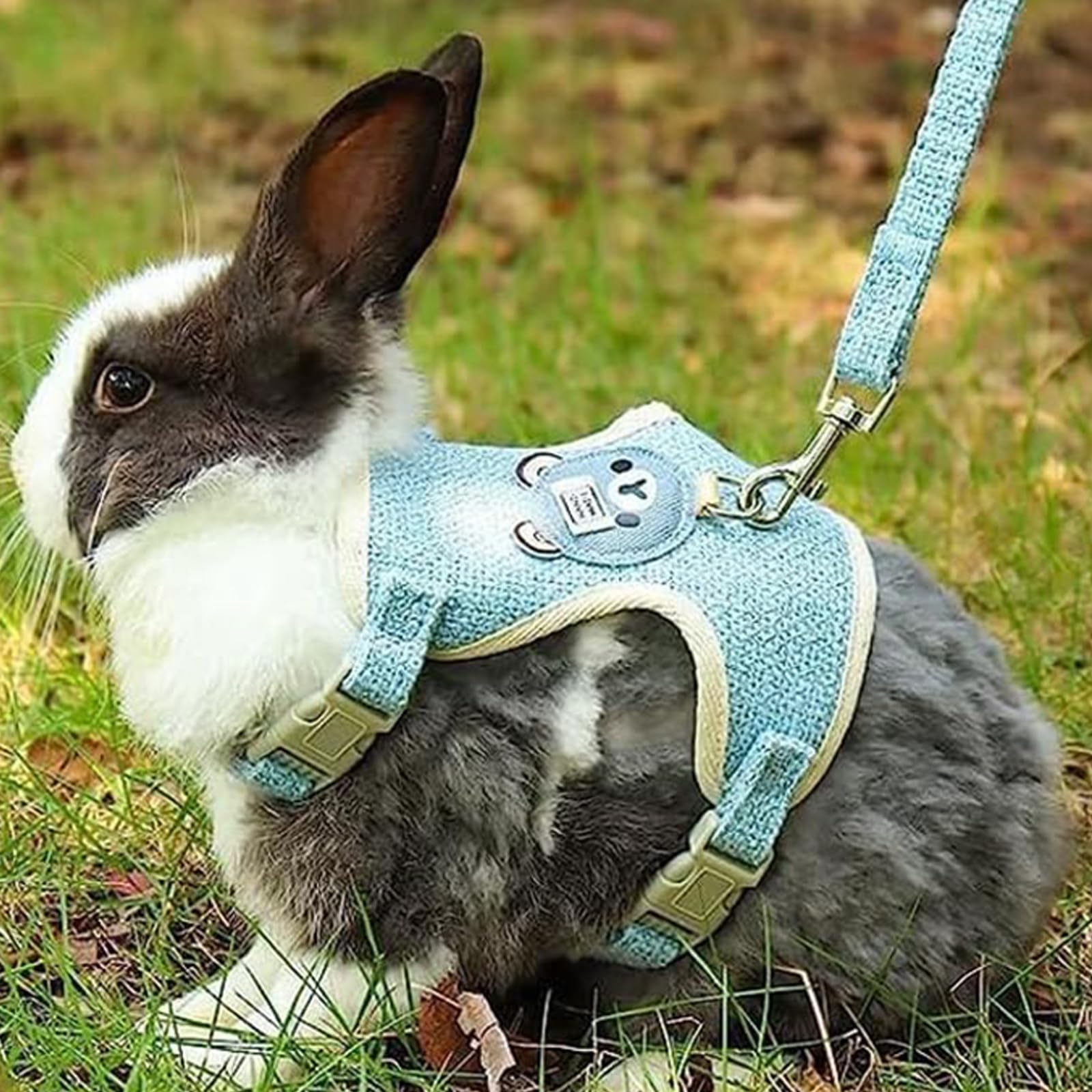 Kaninchen Leine, Meerschweinchen Leine Hasenleine Zwergkaninchen Kaninchen Zubehör Verstellbare Hasenleine, Blau (M)