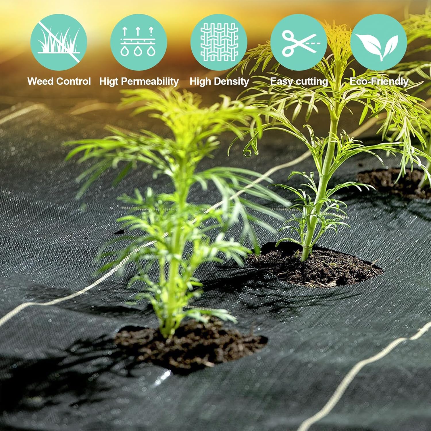 6FT x 50 FT Weed Barrier Fabric, Heavy Duty Landscape Fabric Woven Weed Blocker Ground Cover Durable Garden Bed Liner for Driveway, Orchard, Vegetable Garden, Greenhouse