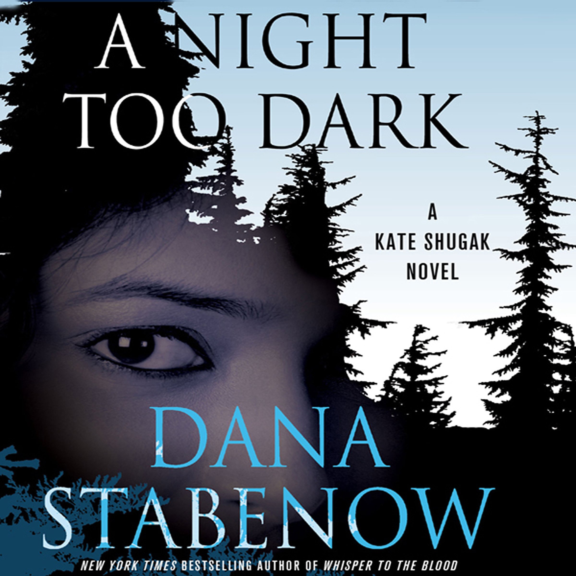 Cover art for A Night Too Dark