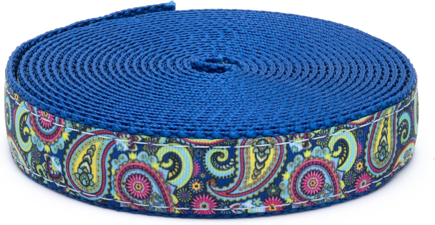 Country Brook Design - Bright Paisley Ribbon on Royal Blue Nylon Webbing (1 Inch, 50 Yards)