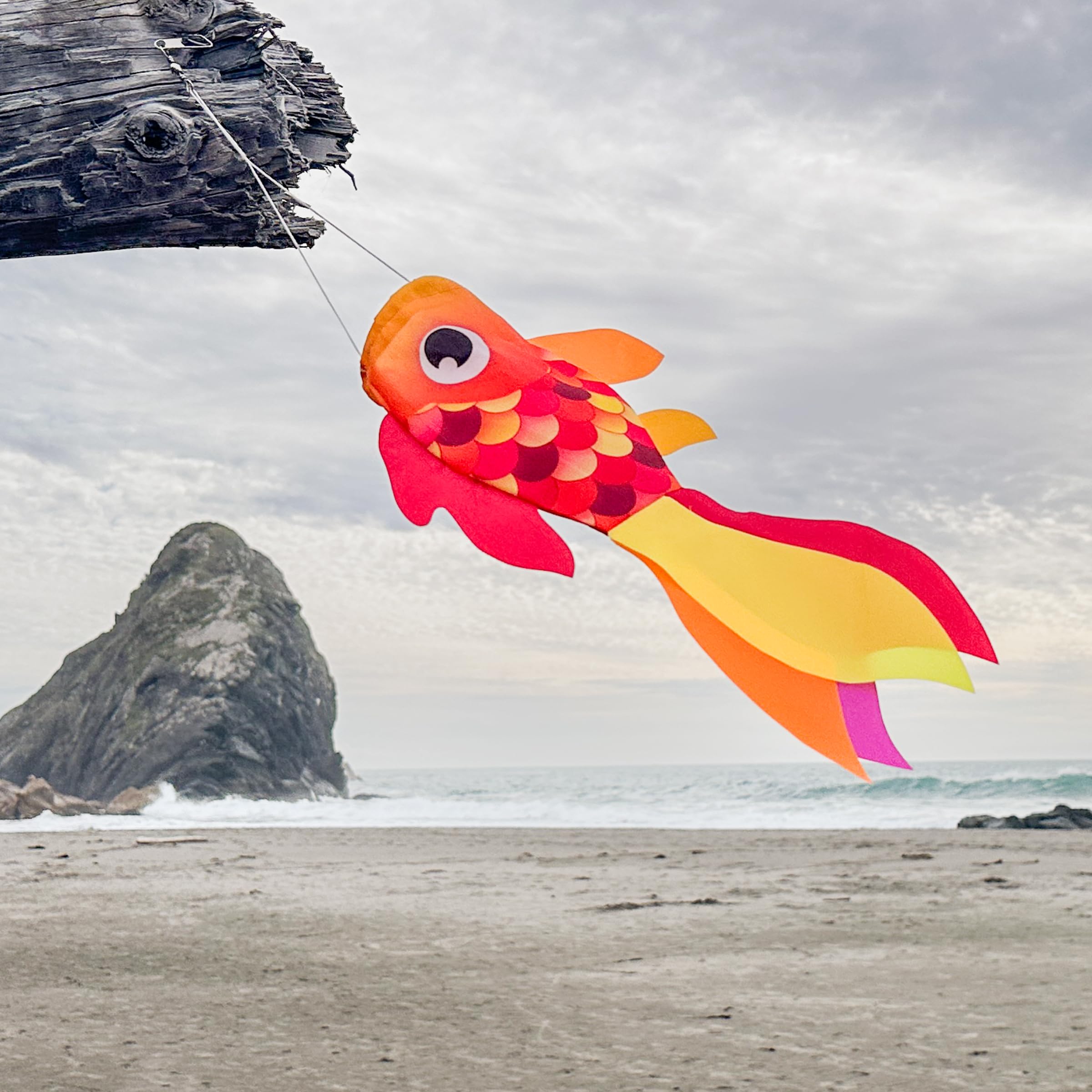 Amazon.com: In the Breeze 5220 — 15-inch Hot Damsel Fish Windsock