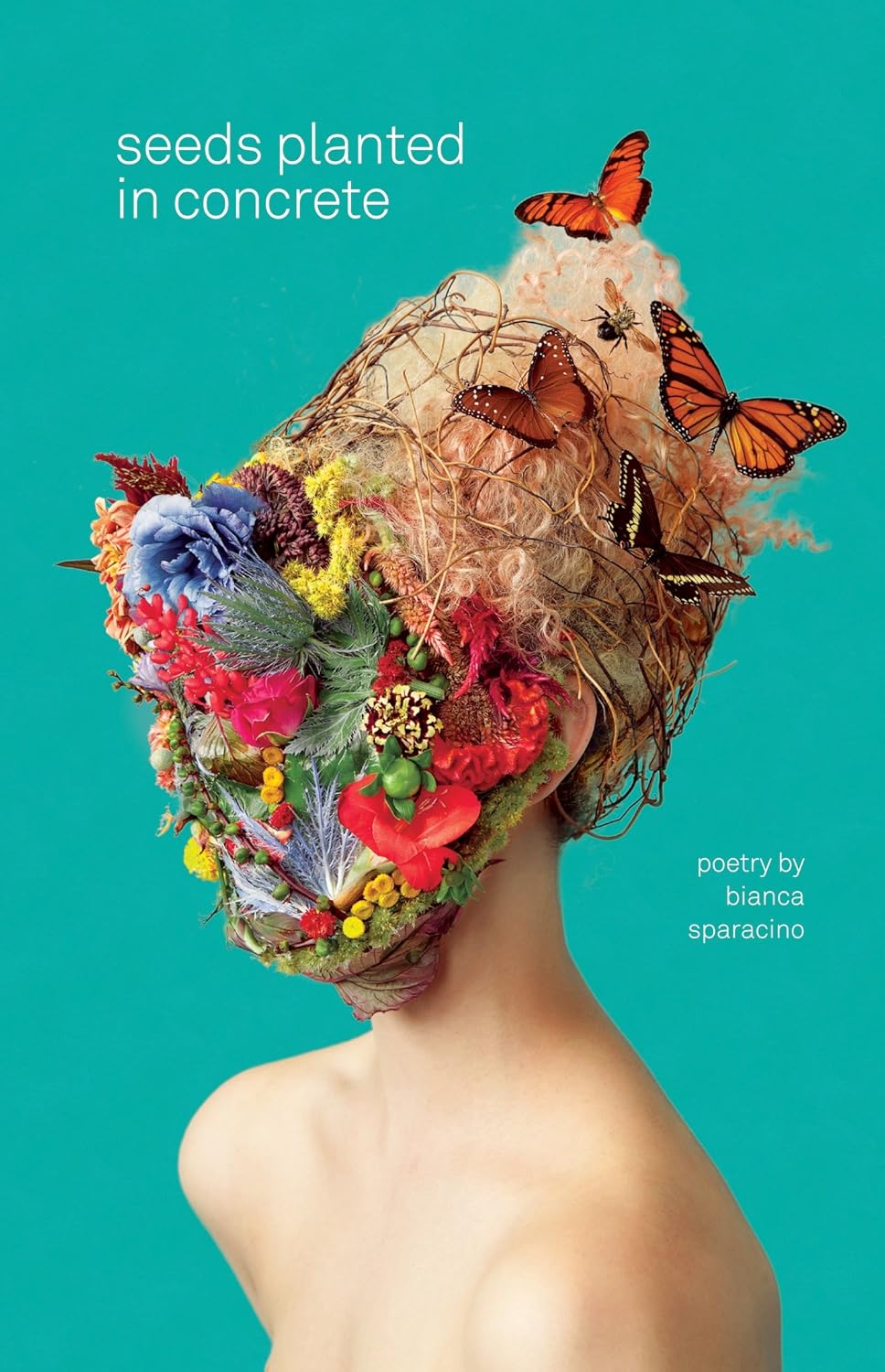 Seeds Planted in Concrete eBook Sparacino, Bianca