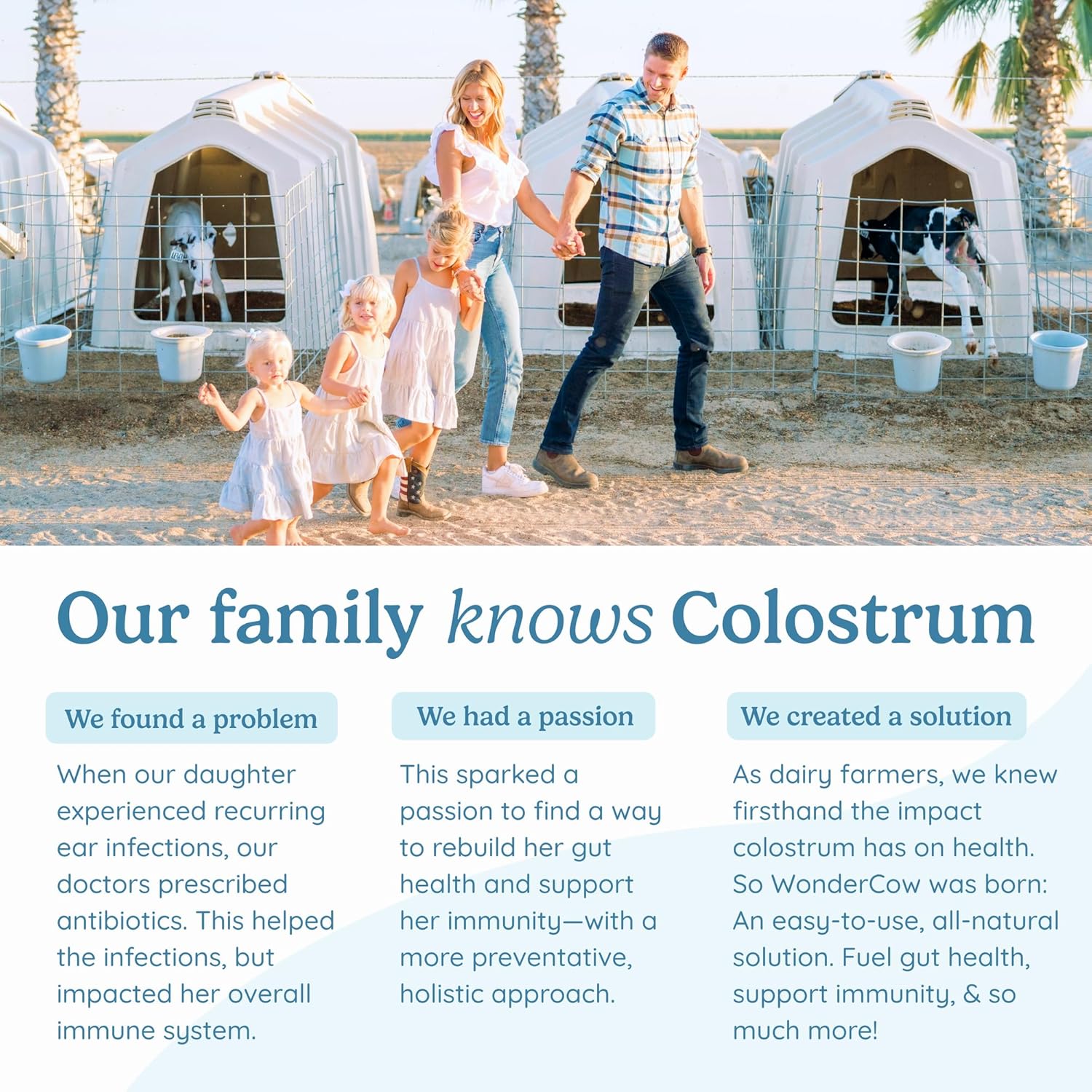 WONDERCOW Colostrum Supplement Powder for Gut Health, Immune Support, Muscle Recovery & Wellness | Natural IgG Pure Whole Bovine Colostrum Superfood, Chocolate, 60 Servings - Image 7