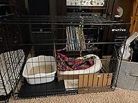 Review Image by Megrier Megrier