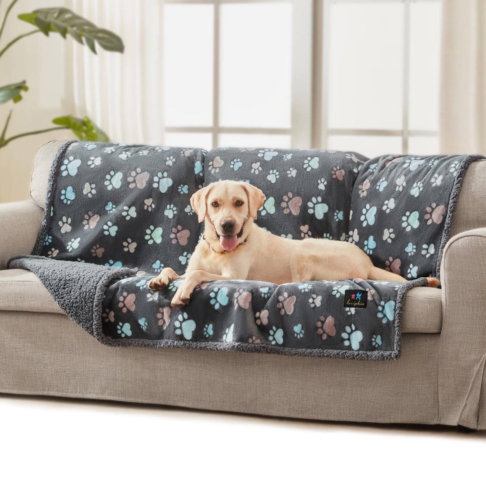 Luciphia Waterproof Pet Blanket Grey Paw