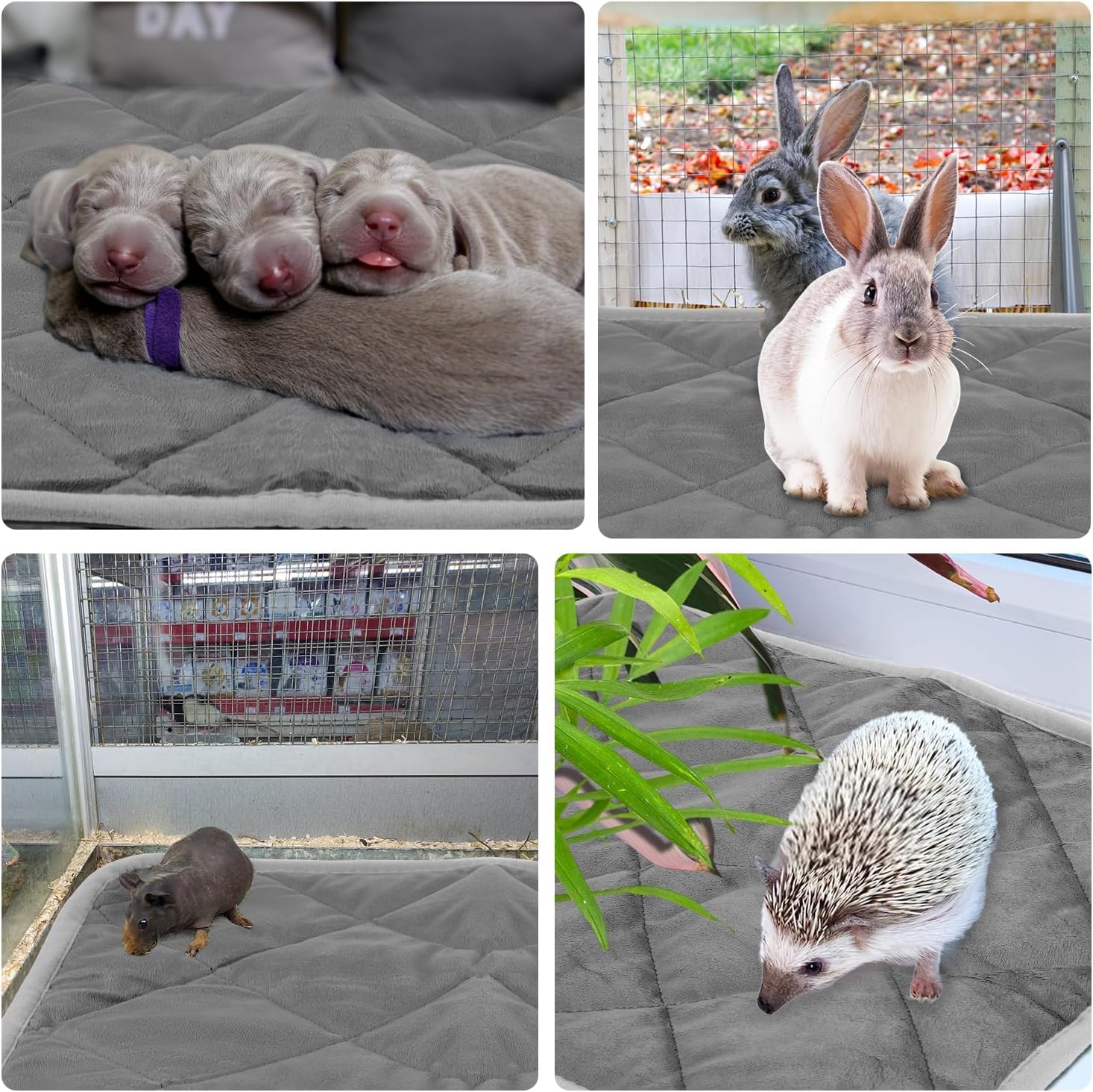 Thermo Vital Hundematte, Wärmematte Katze, Selbstheizende Decke Katze, Thermo Vital Hunde Matte, Selbsterwärmende Mattes, rutschfest und Waschbar (Grün, XL)