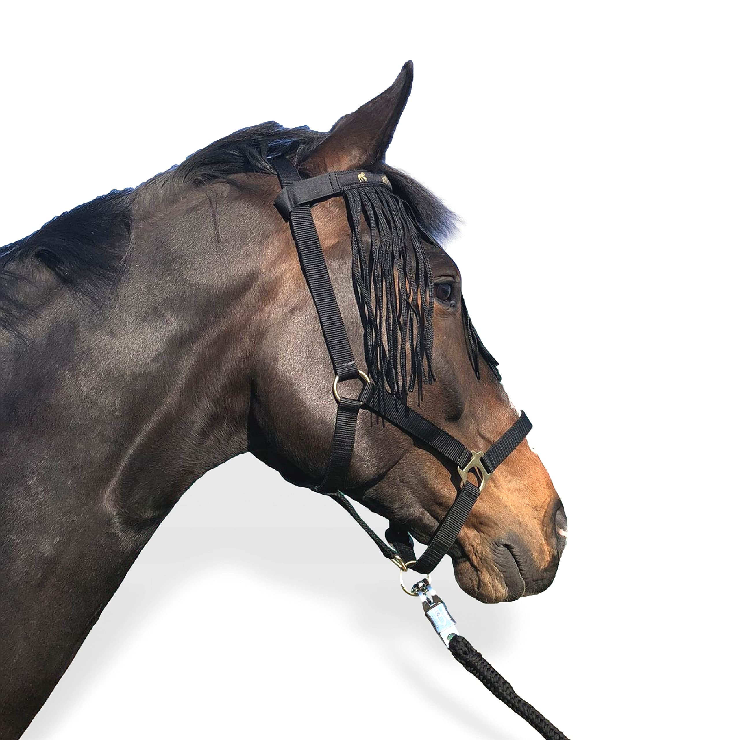 Halfter für Pferde mit Führstrick & Fliegenfransen Pferd, Halfter mit Strick - Halfter Pony Shetty Halfter Cob Full Kb (Shetty, Schwarz)