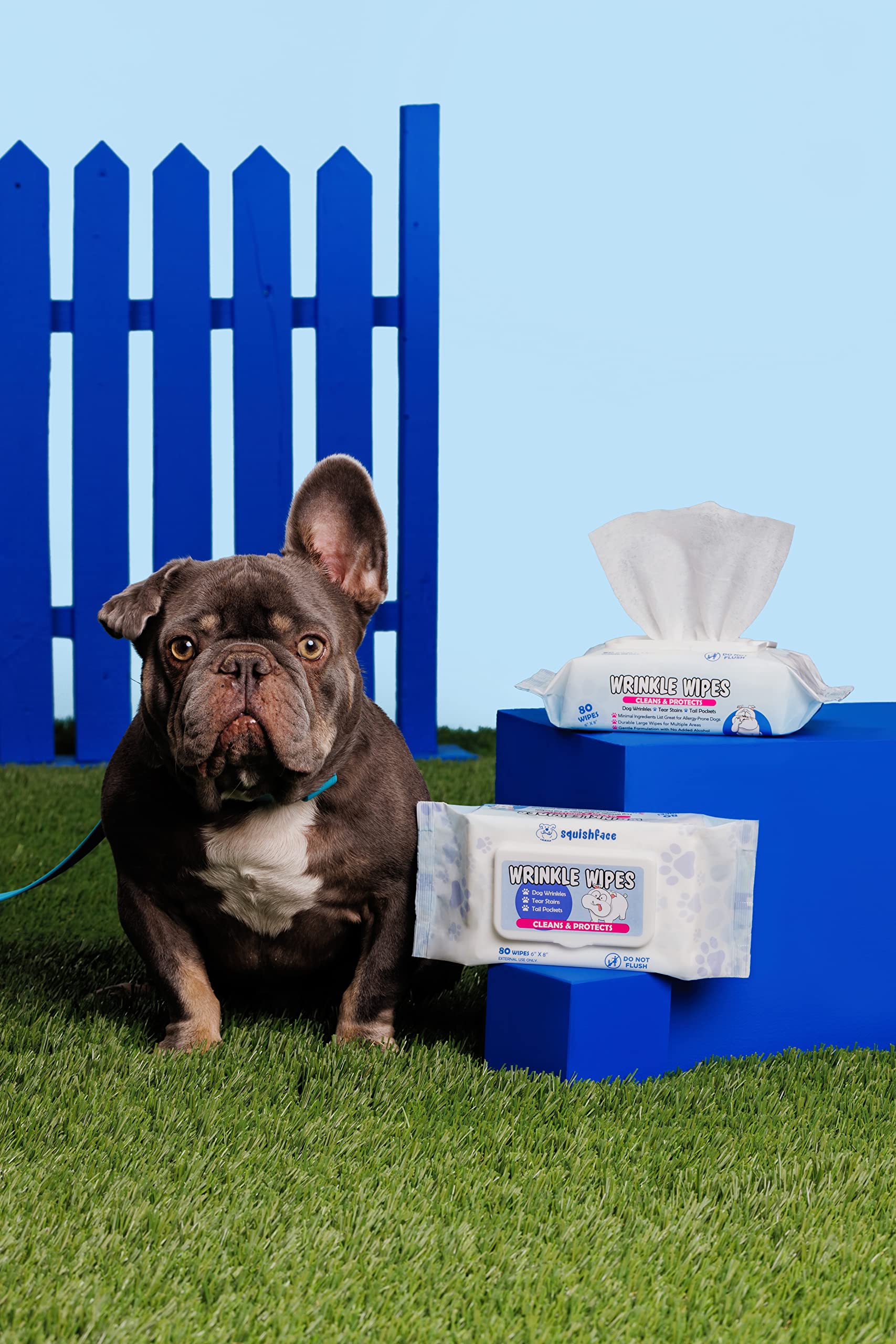 best wipes for bulldog wrinkles