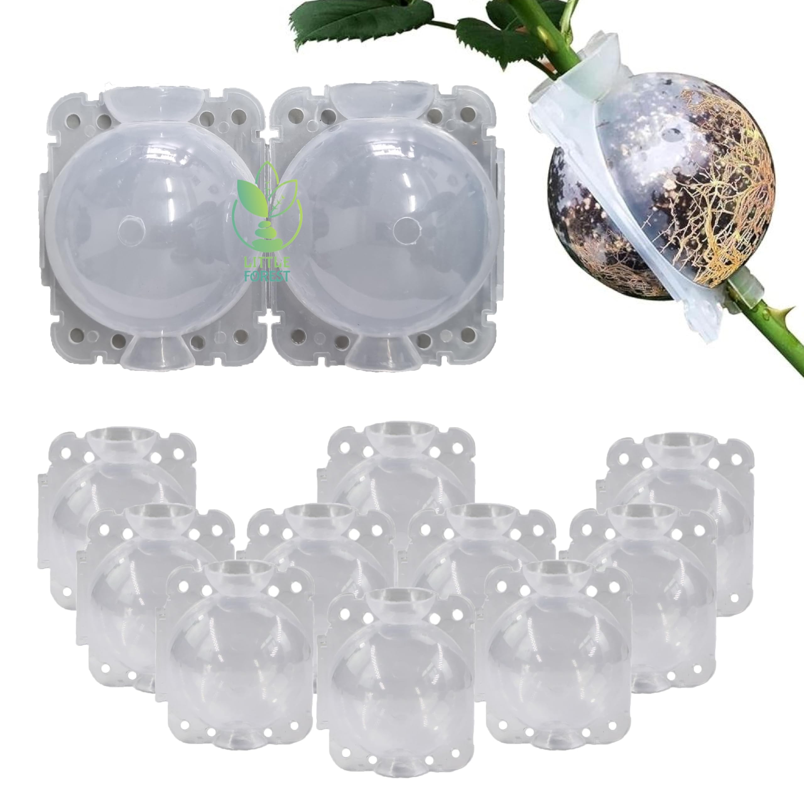Little Forest - 2 Inch Plastic Root Ball, Plant Root Propagation Ball, Faster Root Growth, 100% Virgin Plastic, Reusable, Selflocking (Transparent - 10 PCS)