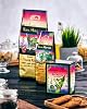 El Gusto San Marcos Coffee from Costa Rica Coffee Beans Medium Roast 100% Arabica Gourmet Coffee with Citrus Acid and Chocolate Flavor Premium Specialty Coffee 900 g