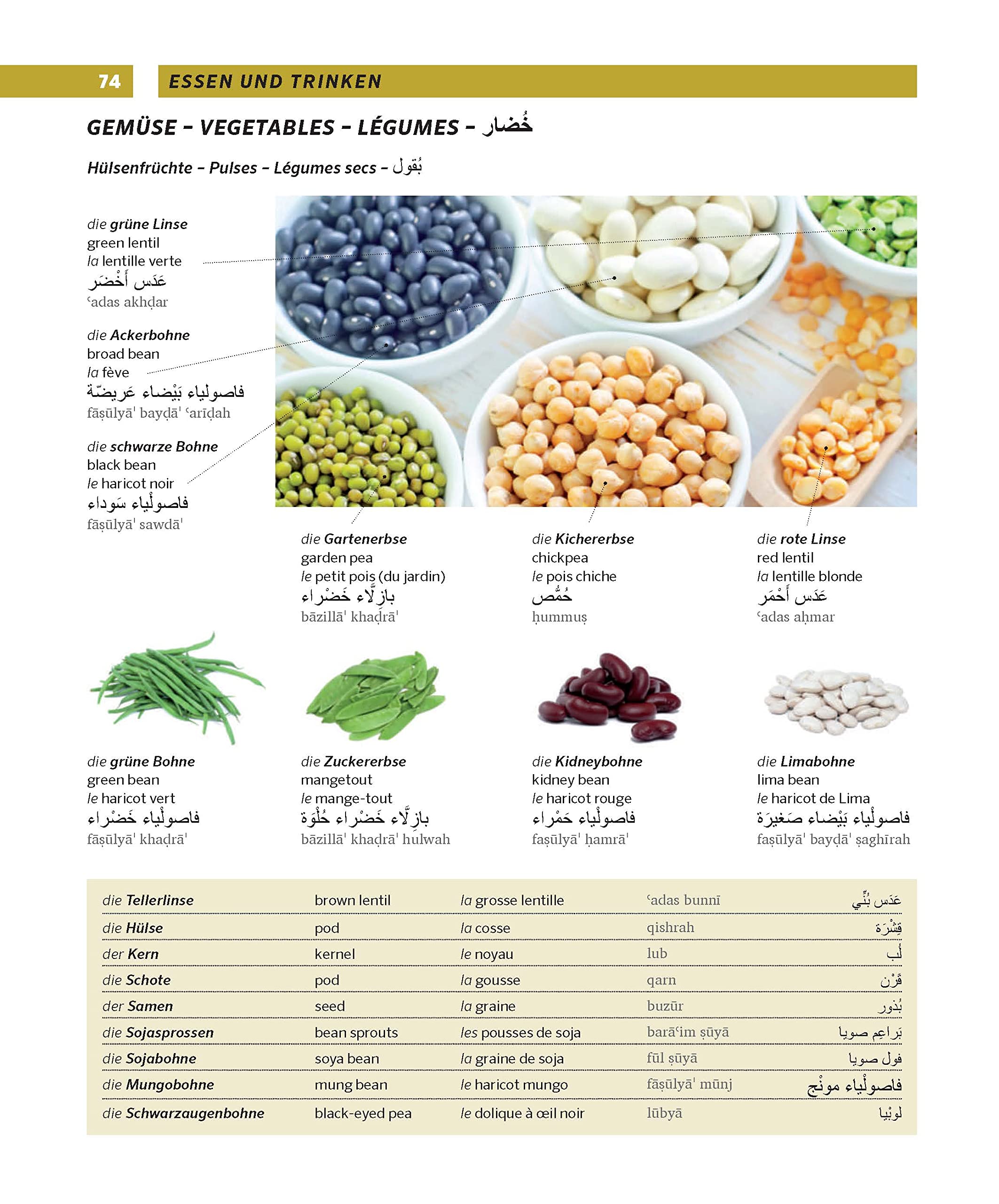 PONS Großes Bildwörterbuch Arabisch - Deutsch + Englisch und Französisch: Mit 26.000 Stichwörtern und Wendungen. Schneller Arabisch und Deutsch lernen ... und Französisch. (PONS Bildwörterbuch)