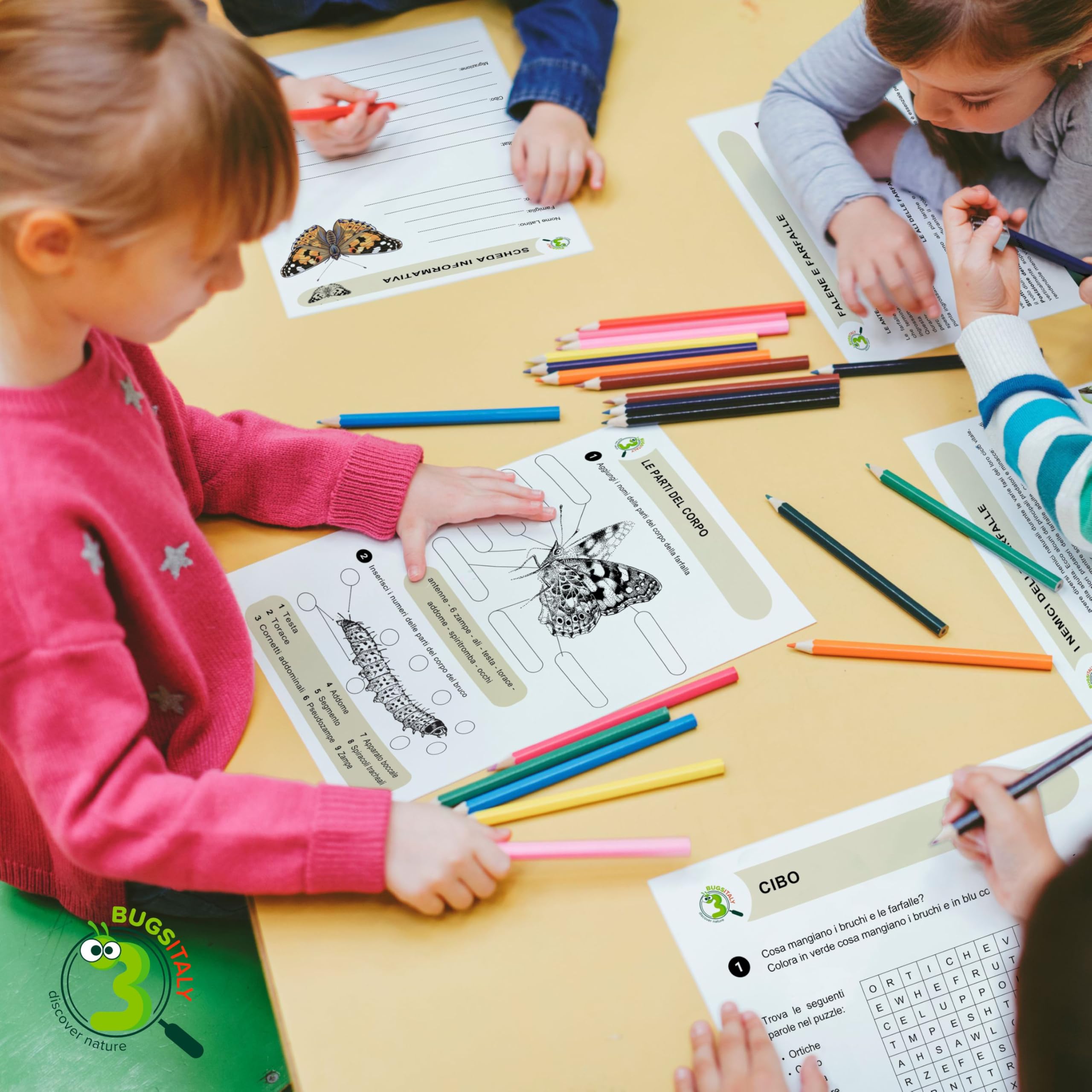 Vanessa Cardui Kit Farfalle, Il kit Farfalle da allevare in casa - Idee regalo Bambini, Regalo creativo per Bambini, Kit educativi scientifici, Giochi educativi per bambini