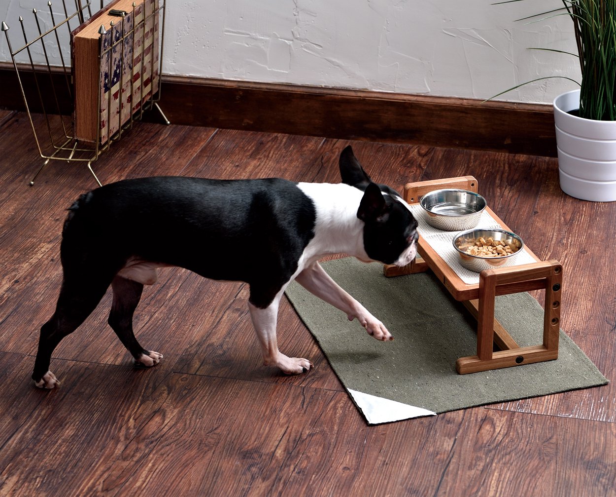 Amazon.co.jp: ペティオ (Petio) ポルタ ウッディドッグテーブル 犬用 
