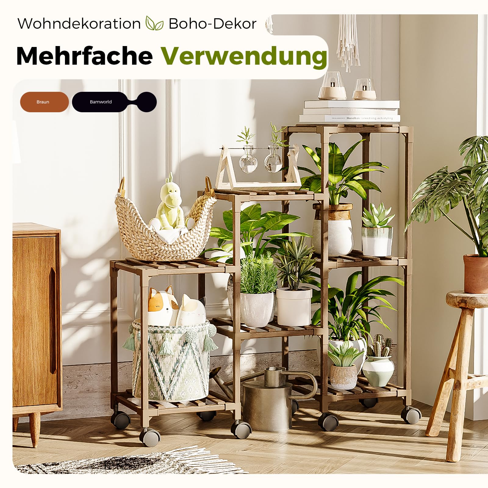 kalanchoe variegata Kalanchoe fedtschenkoi variegata – Succulent Gardens main image 1