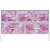 Product Photo 6