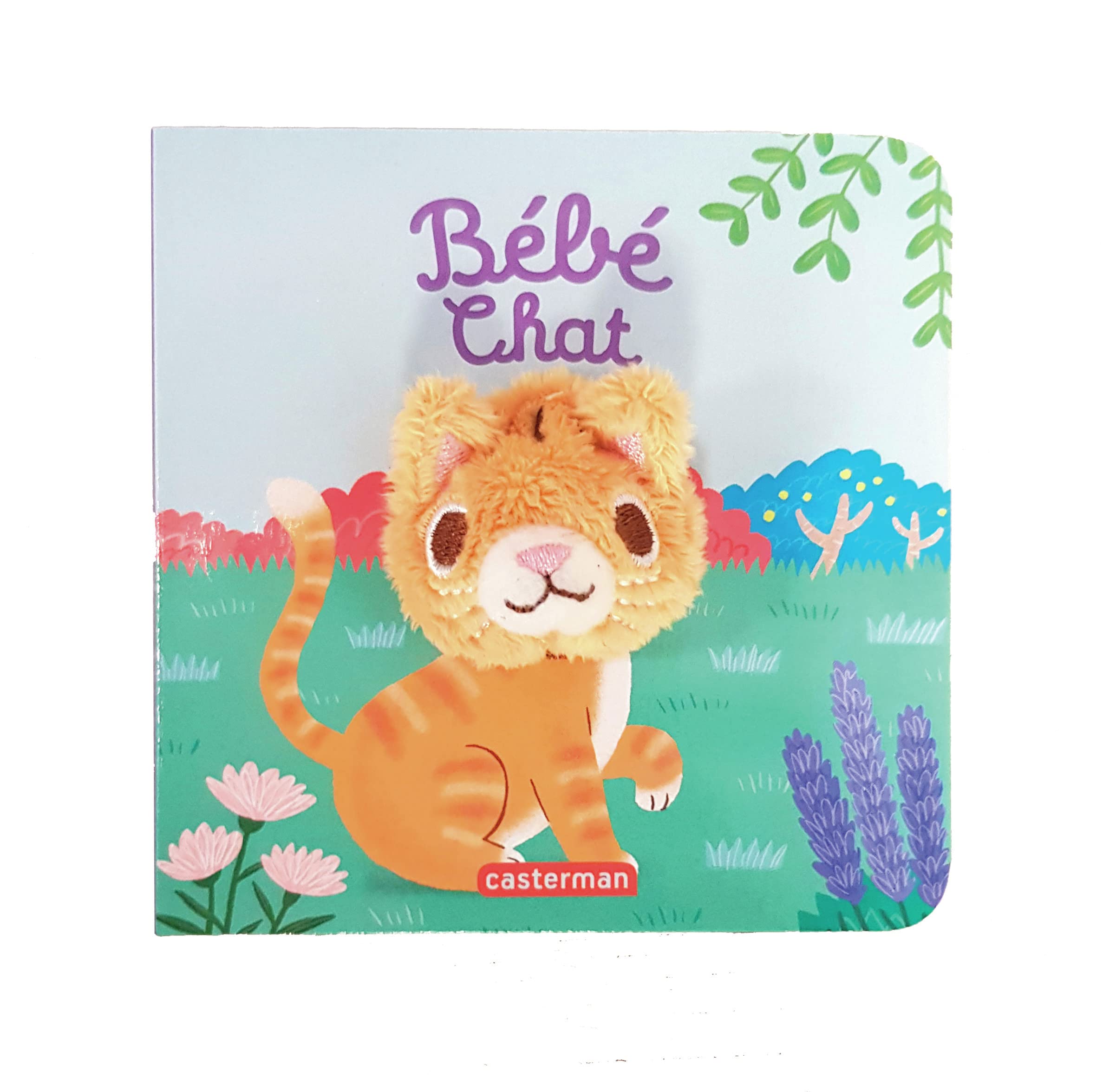 Bébé chat