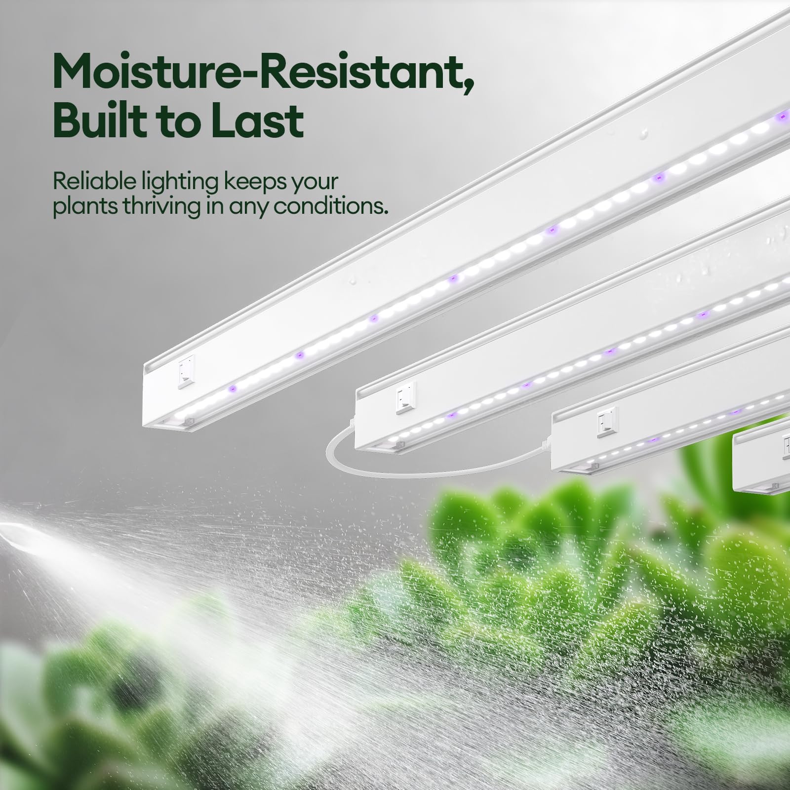 Amazon.com : Maygrove T5 Grow Lights for Indoor Plants 2FT, Blue