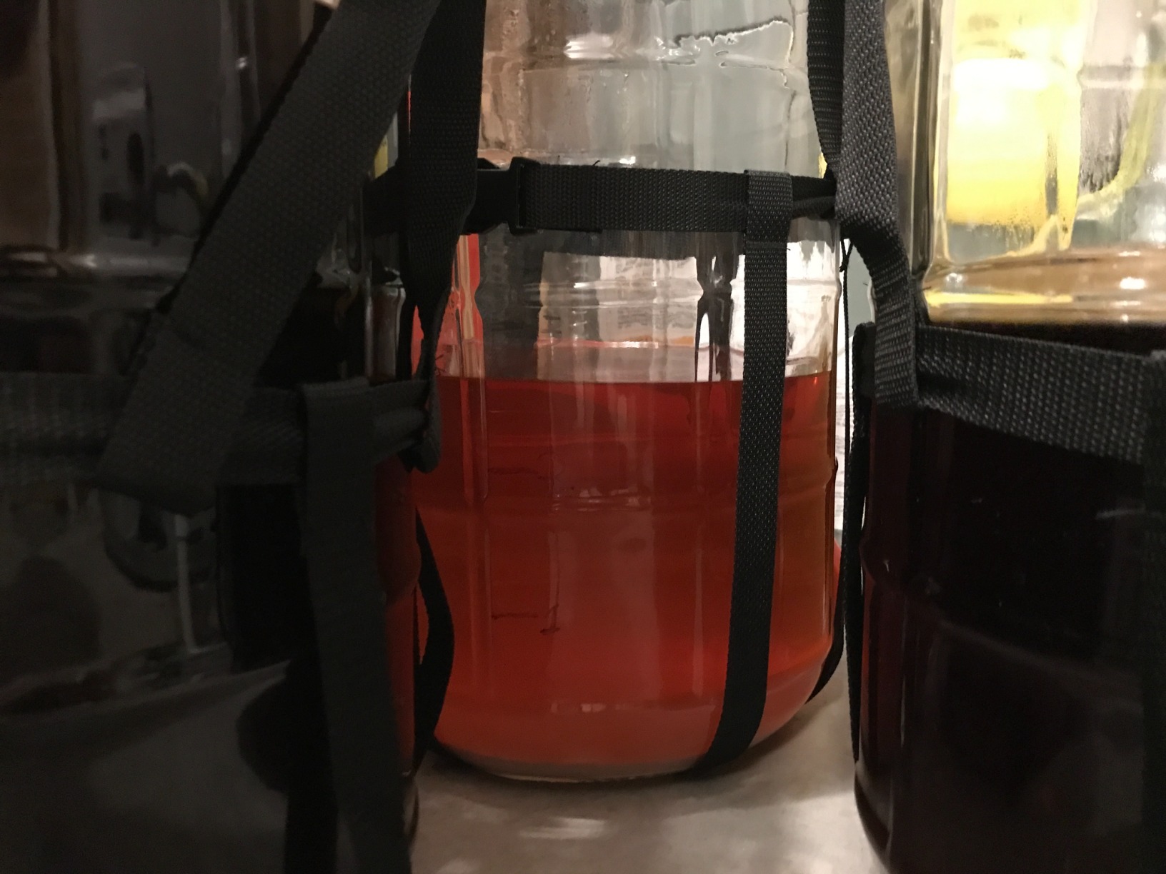 Brew Hauler 5168 FE338 Nylon carboy carrier Home & Kitchen