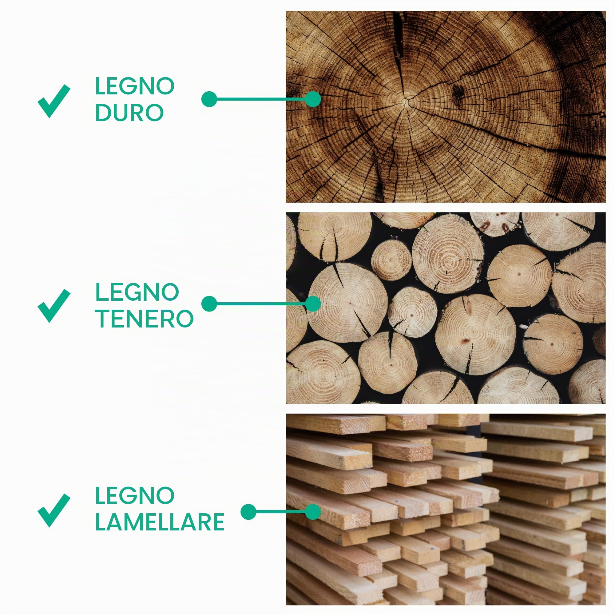 Set di 6 scalpelli da legno in acciaio Q50 inossidabile 6, 10, 12, 18, 25, 32 mm con pratica valigetta WIESEMANN 1893 I serie ENSURE I 81284