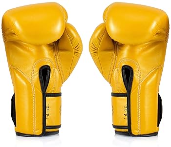 Amazon.co.jp: Fairtex BGV18 ムエタイ ボクシンググローブ