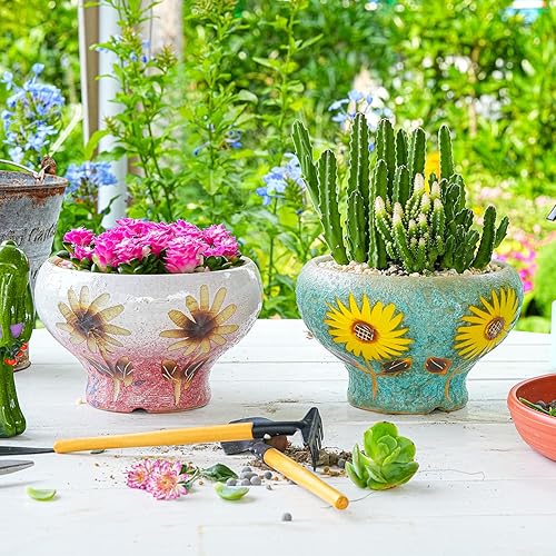 Miniatura 4 de Sungmor Juego de 2 macetas pequeñas para suculentas, hermosas macetas de cerámica hechas a mano, bonitas macetas de cactus, macetas de 6.5 pulgadas