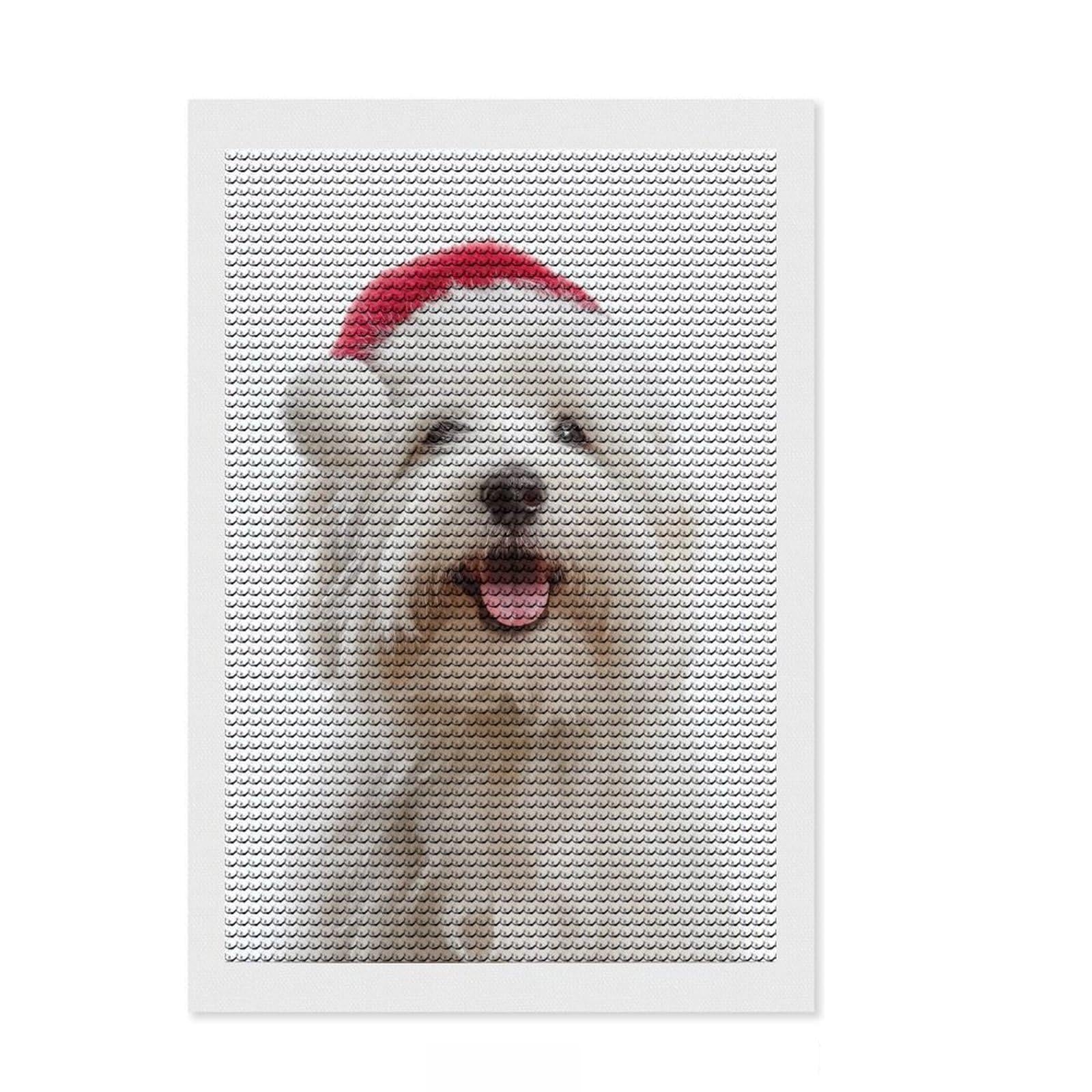 Junmoney Cute Coton De Tulear Dog with Santa Hat Full Drill Diamond Painting Kit 8"x12", Easy to Follow Symbols, Neat Printed Canvas, Creative Leisure Activity