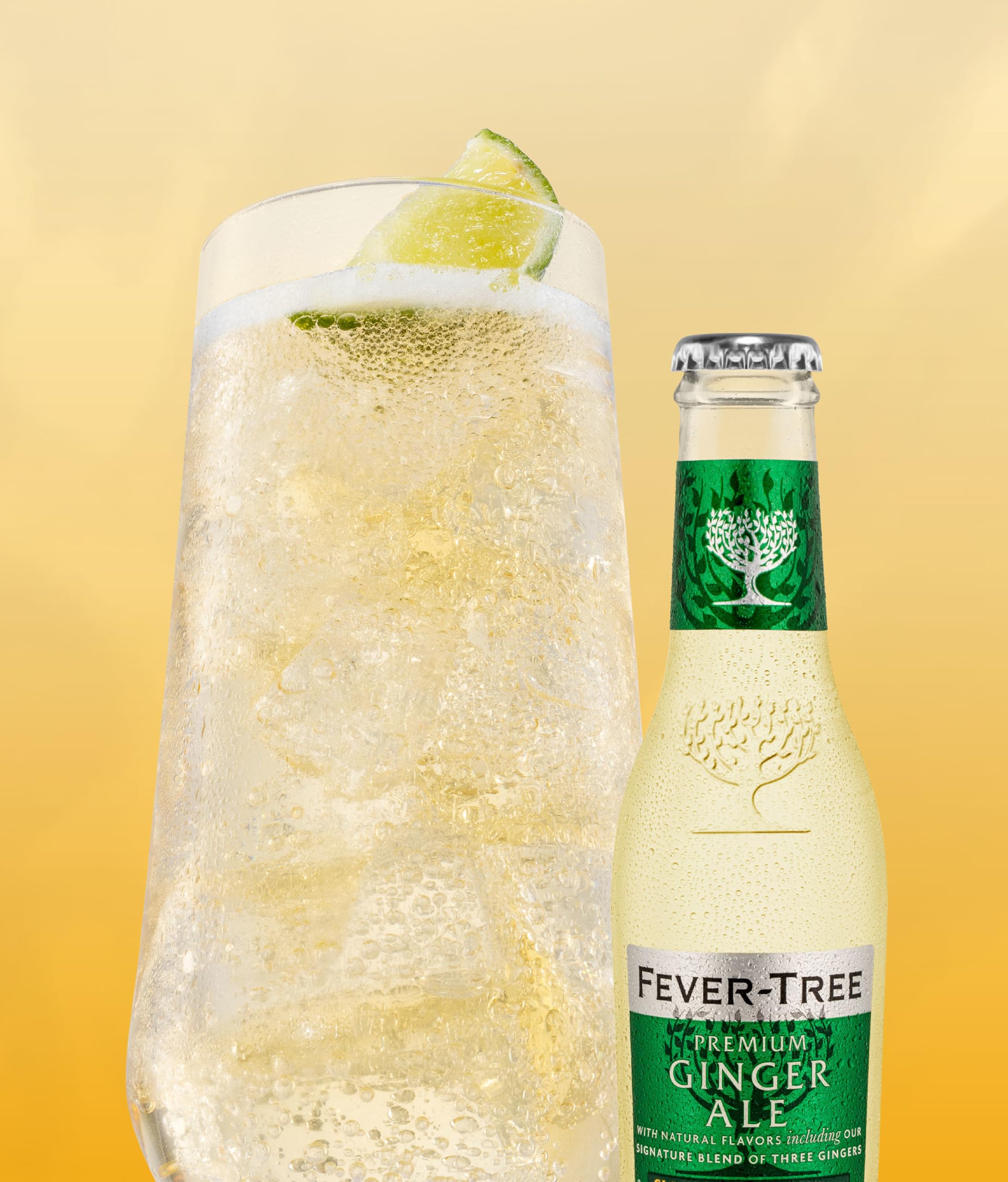 じんじゃーえーる Sprecher Ginger Ale | Total Wine & More