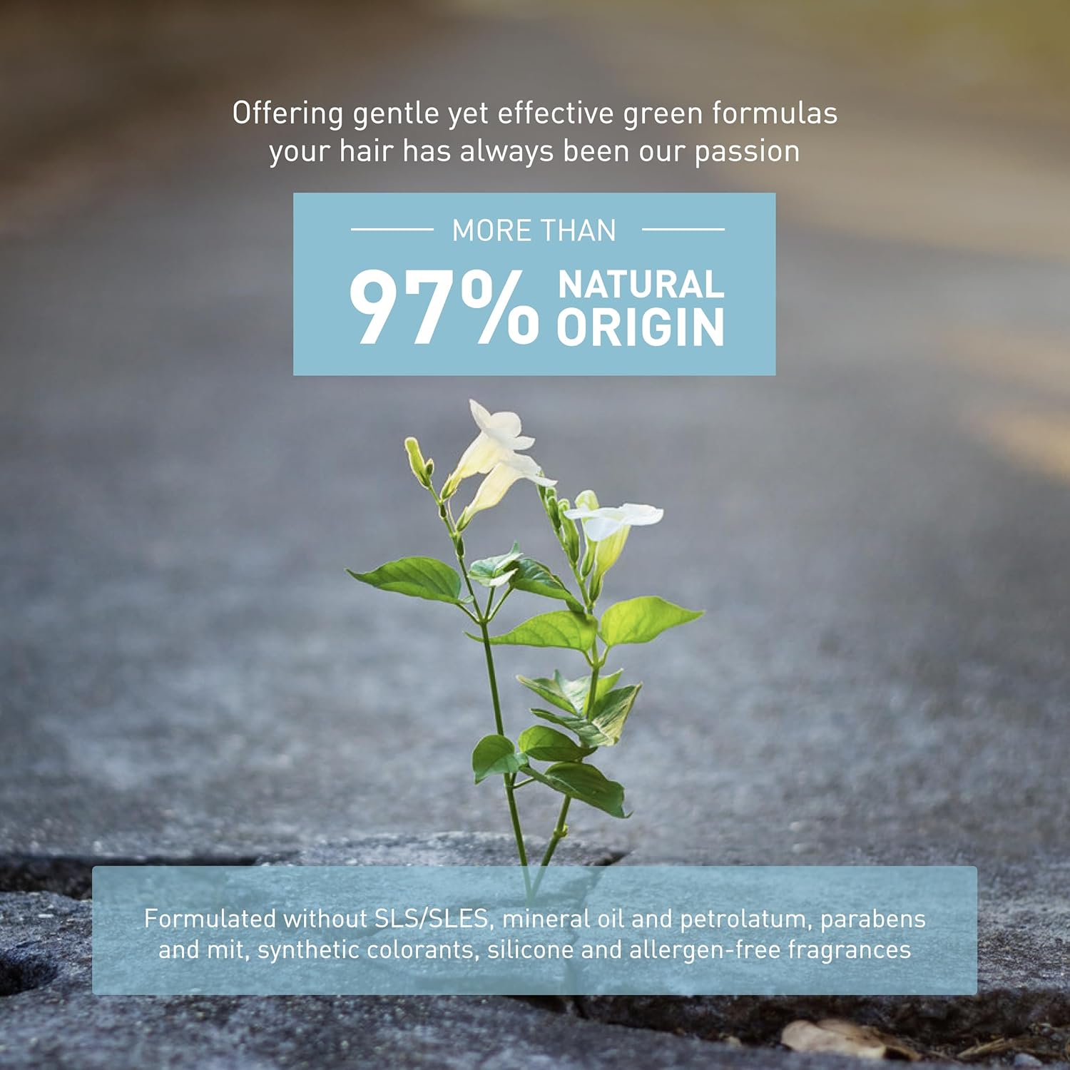 Insight Purifying Shampoo with Purifying Phyto-Complex & Rosemary Extract for Scalp Health & Anti-Pollution Cleansing 30.4 Fl. Oz. / 900 mL - Image 5