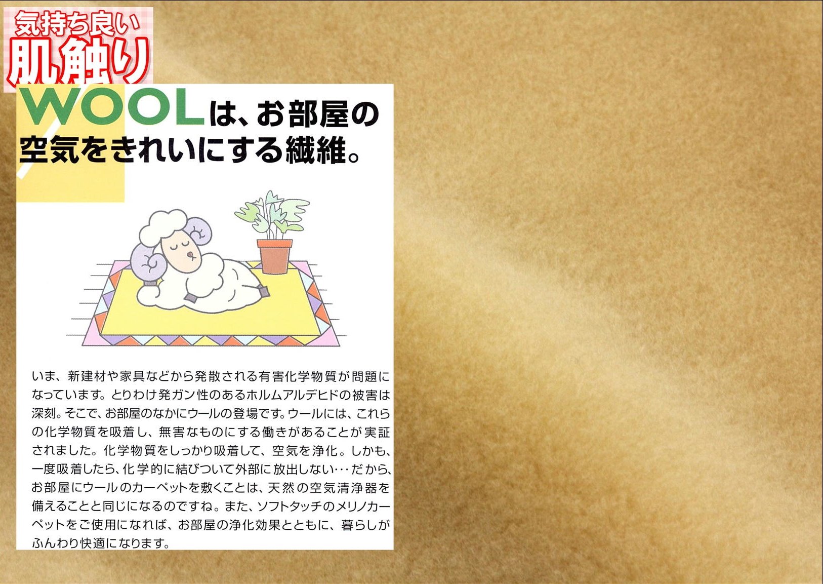 Amazon｜掛け セミダブルサイズ 公式 三井毛織 日本製 洗える