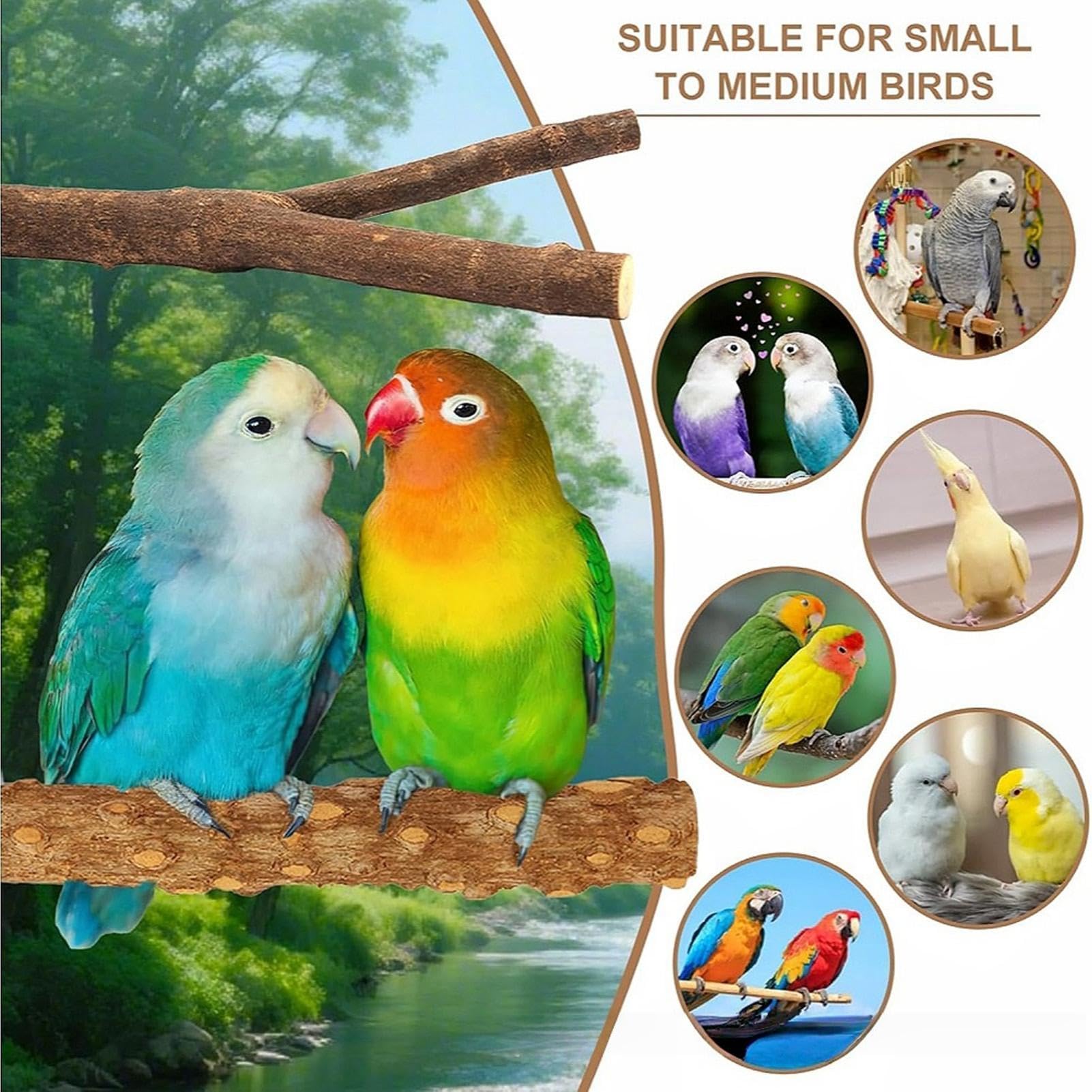 Perchoirs Pour Oiseaux De Cage Set plateau repos oiseaux en bois
