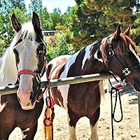 Vista 3 de Corbata de amarre para evitar lesiones, portátil, versátil y reutilizable, liberación rápida bajo alta presión con 5 ajustes de bucle, clip Negro