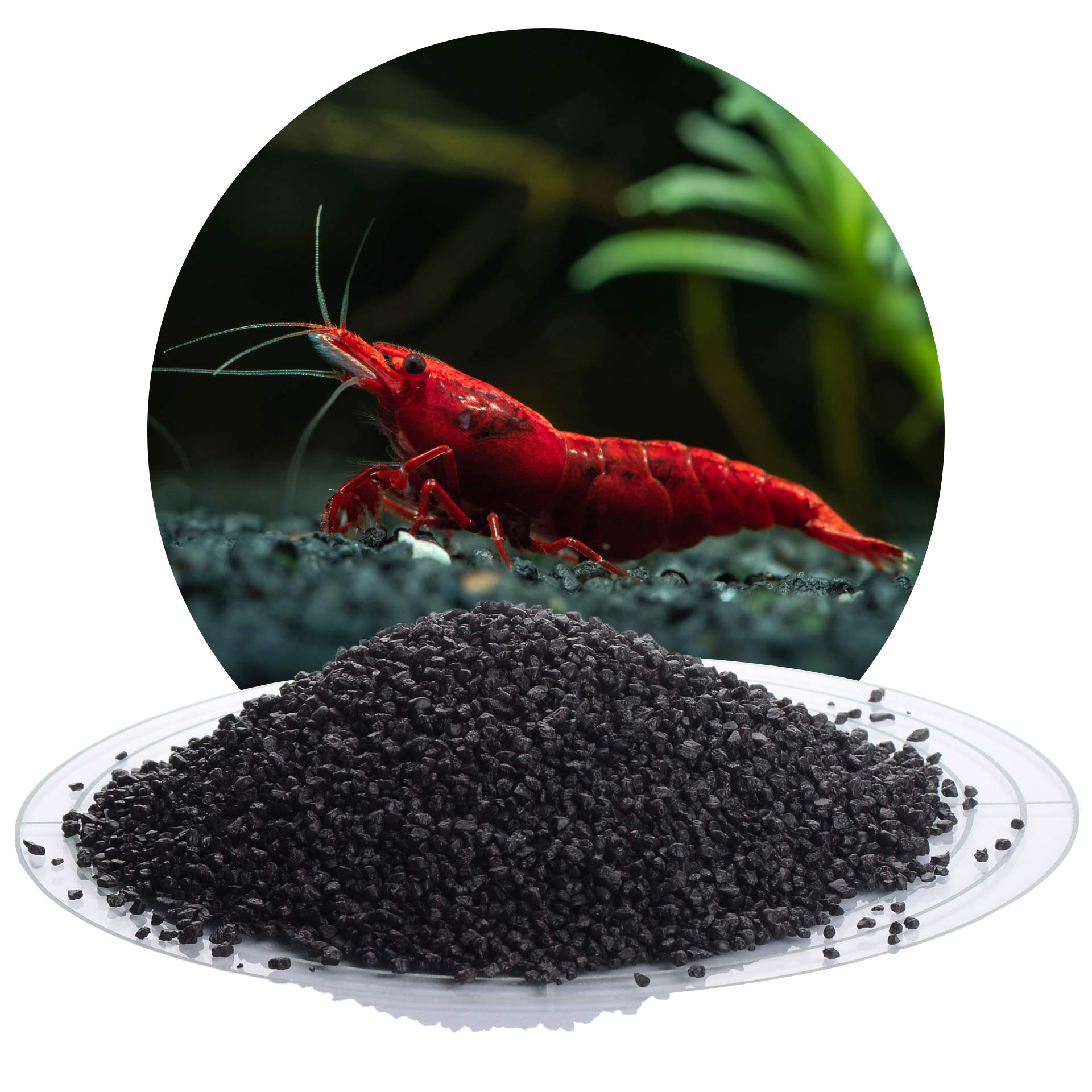Schicker Mineral Aquariumkies schwarz 25 kg, feiner Quarzkies mit Epoxidharz ummantelt, kantengerundeter Bodengrund, farbecht, Kies für Süßwasseraquarien & Meerwasseraquarien (2,0-3,0 mm)