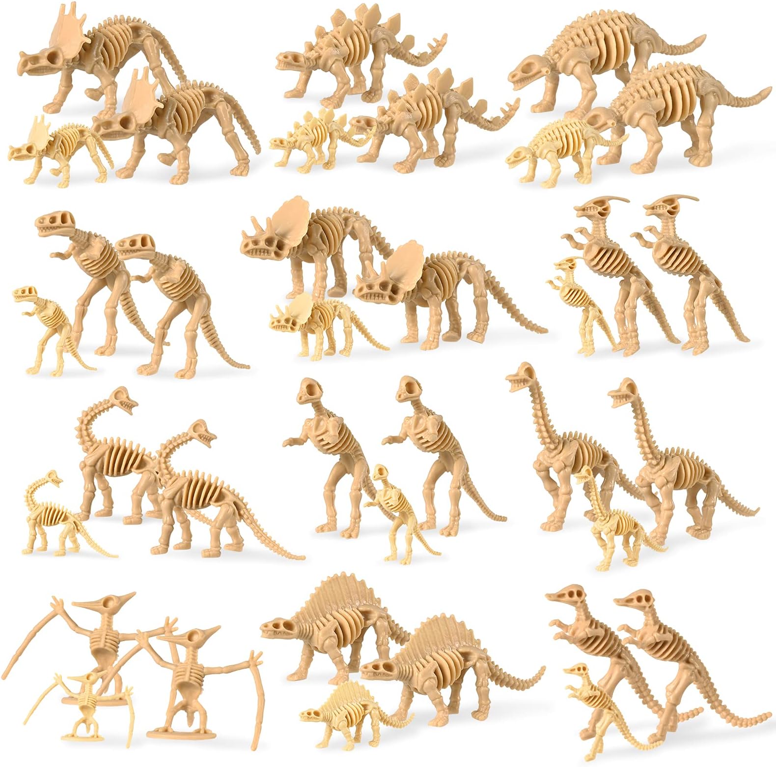 Rumia 36-Piece Dinosaur Fossil Skeletons - Assorted Dinosaur Figures for Science Play, Sand Dig, and Party Favors