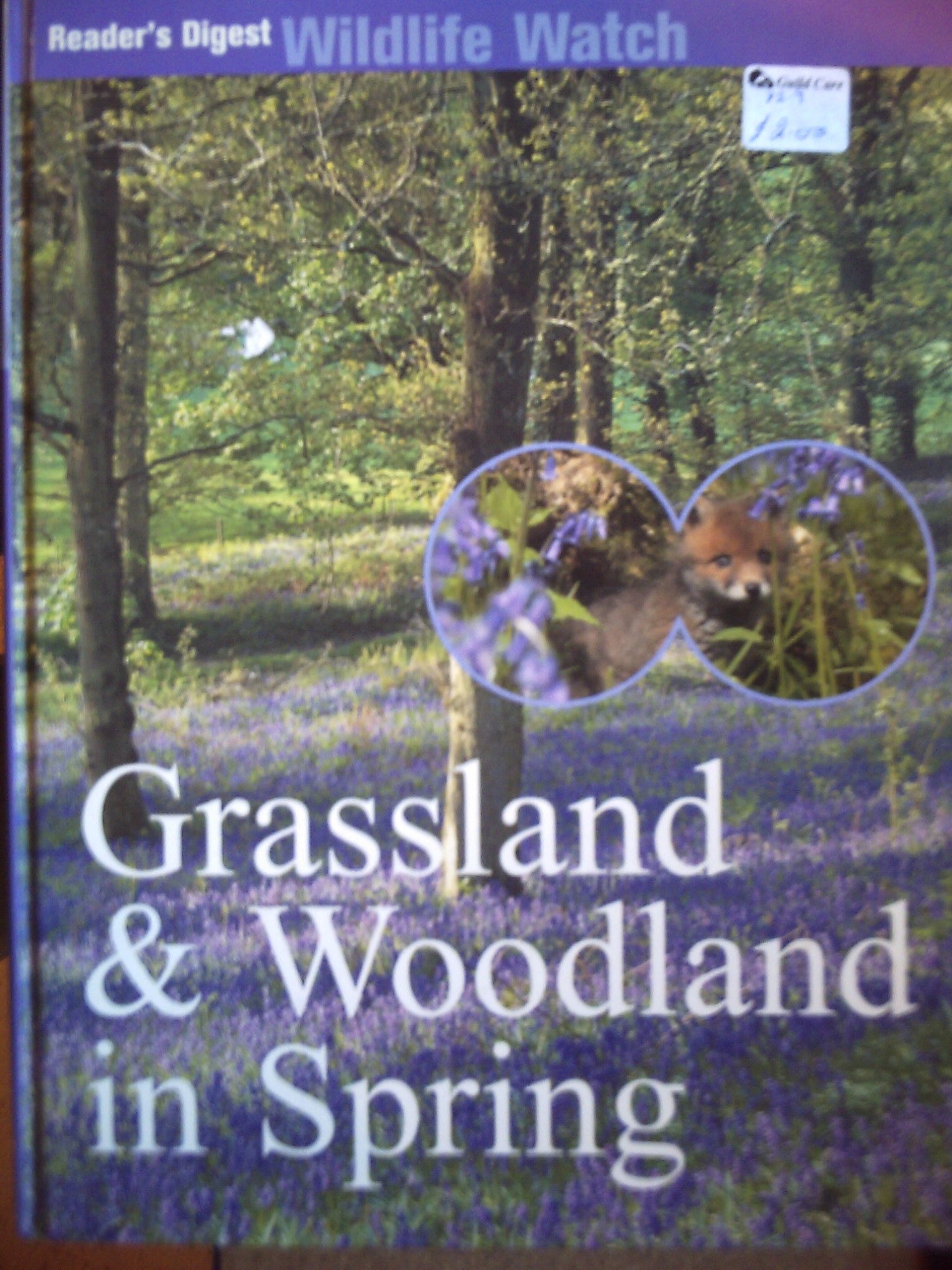 GRASSLAND & WOODLAND IN SPRING (READER'S DIGEST WILDLIFE WATCH)