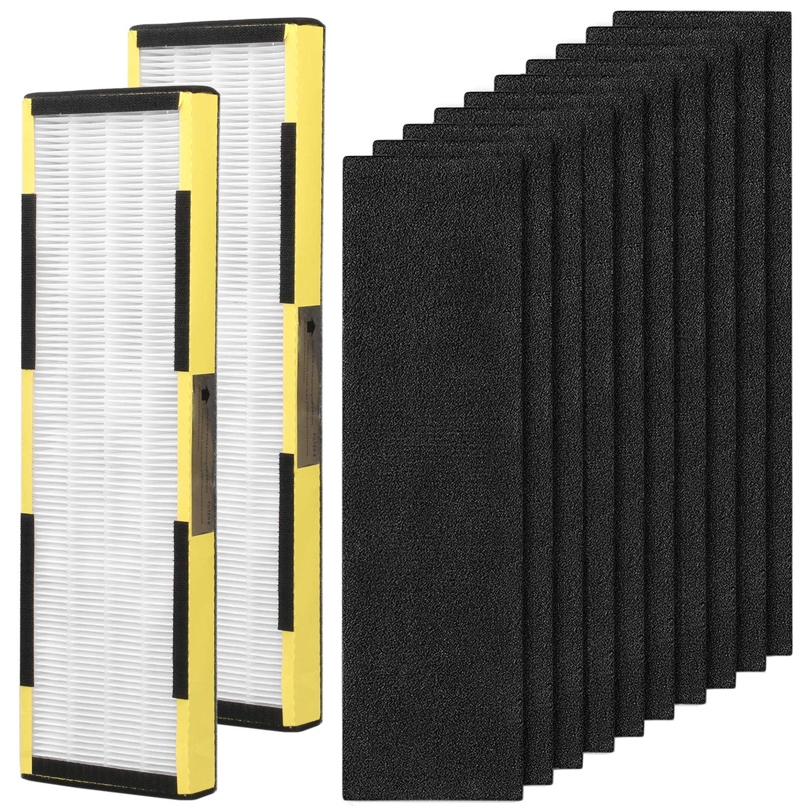 2 Pack Replacement FLT4825 Filter B with 10 Pack Carbon Pre-Filters Compatible with Guardian AC4825, AC4300BPTCA, AC4900CA, AC4825DLX, AC4850PT, CDAP4500BCA, CDAP4500WCA[Amazon-developed Certification] Compact by Design