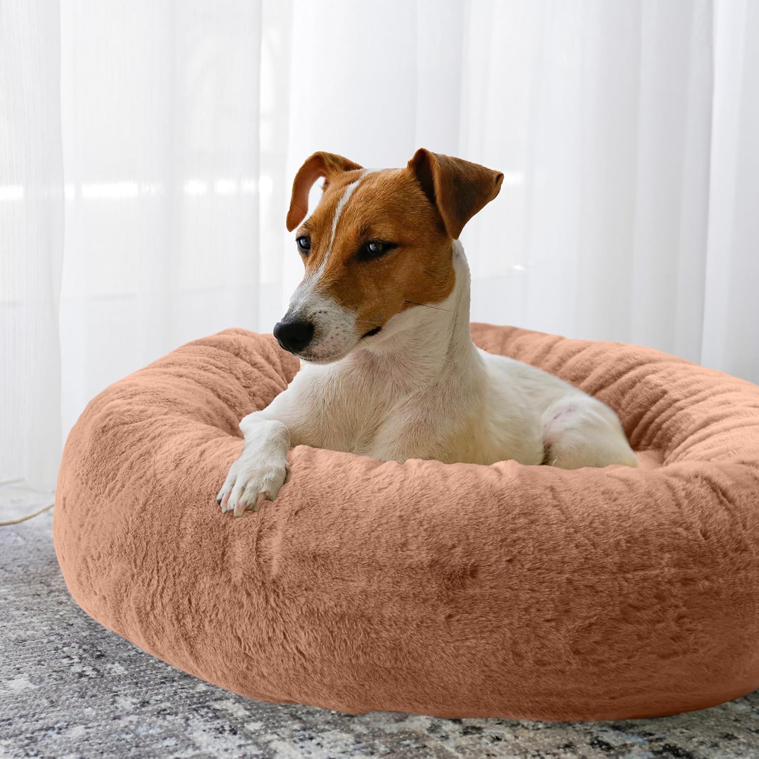 Small Gray Orthopedic Elevated Donut Dog Bed