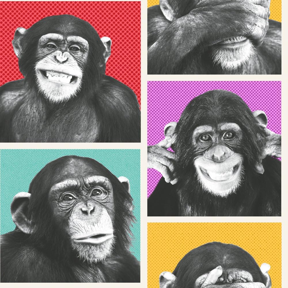 Cheeky Chimps Wallpaper (102560)