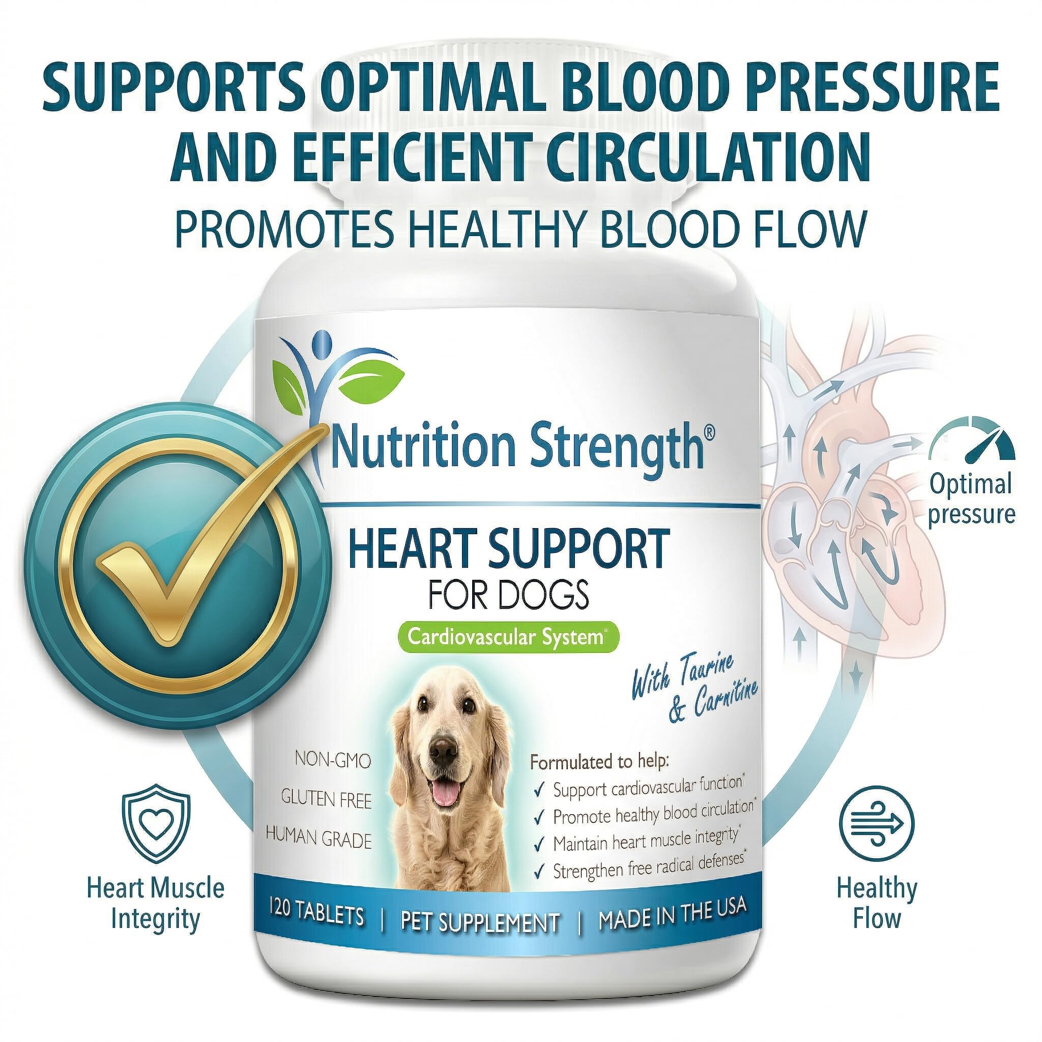 l carnitina en perros Amazon.com: Nutrition Strength Apoyo cardíaco para perros con taurina y carnitina, promueve la circulación sanguínea, apoya la función cardiovascular, integridad muscular cardíaca y defensas de radicales libres, : Productos para Animales