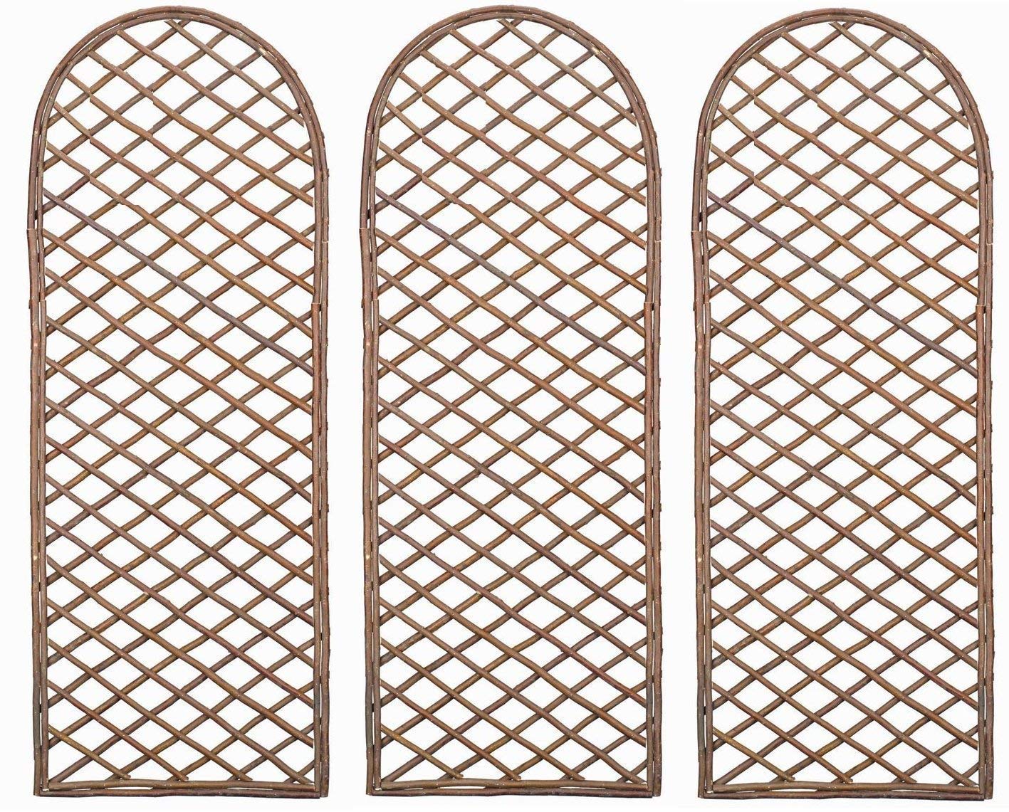 Selections Pack of 3 Willow Trellis Framed Panel with Curved Top (120 x 45 Centimetre)